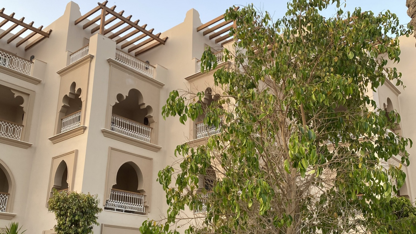 Обои дерево, недвижимость, квартира, свойство, растение в разрешении 1366x768