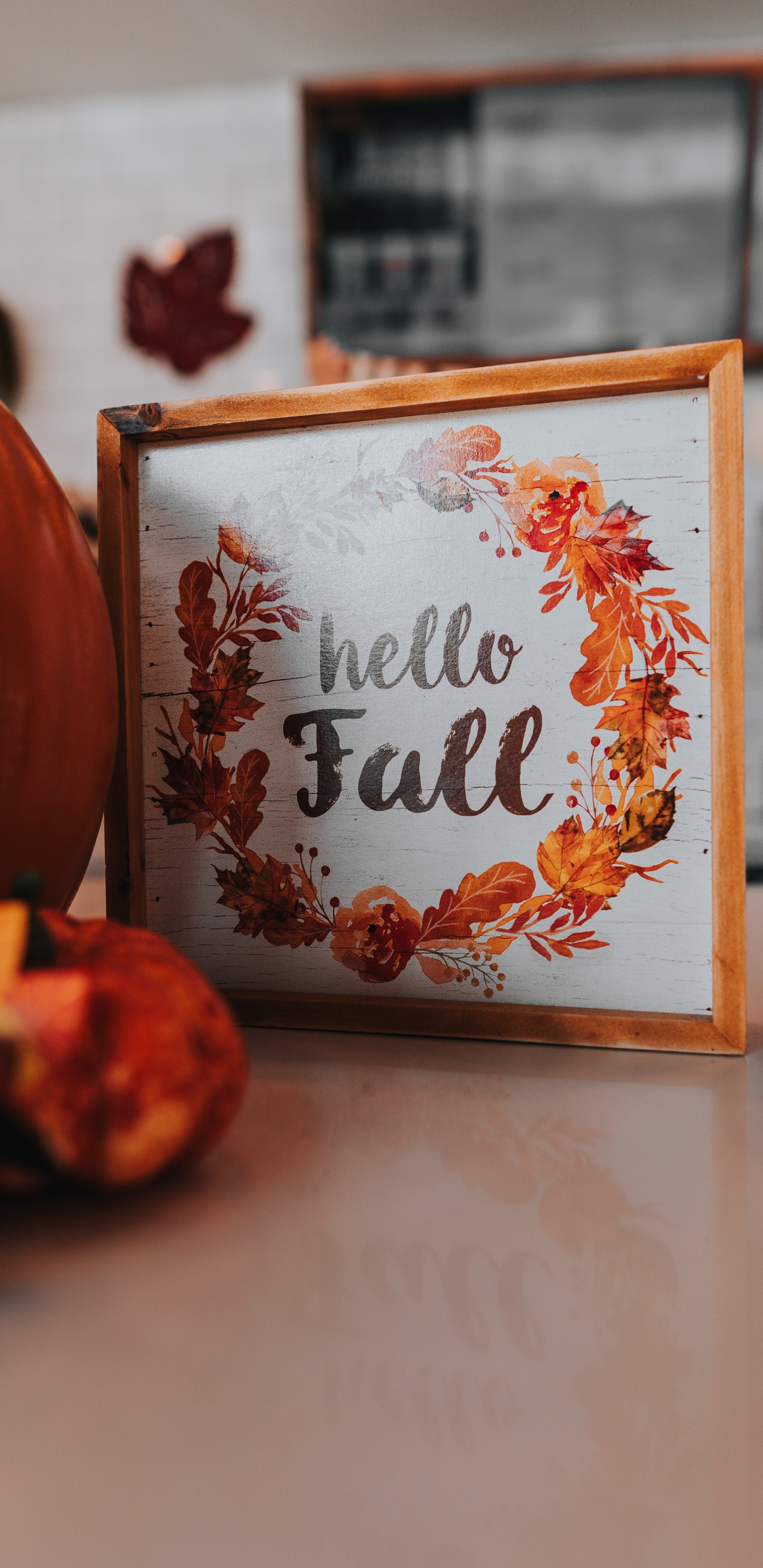 Обои тыква, Апельсин, текст, Место карты, комната в разрешении 1440x2960