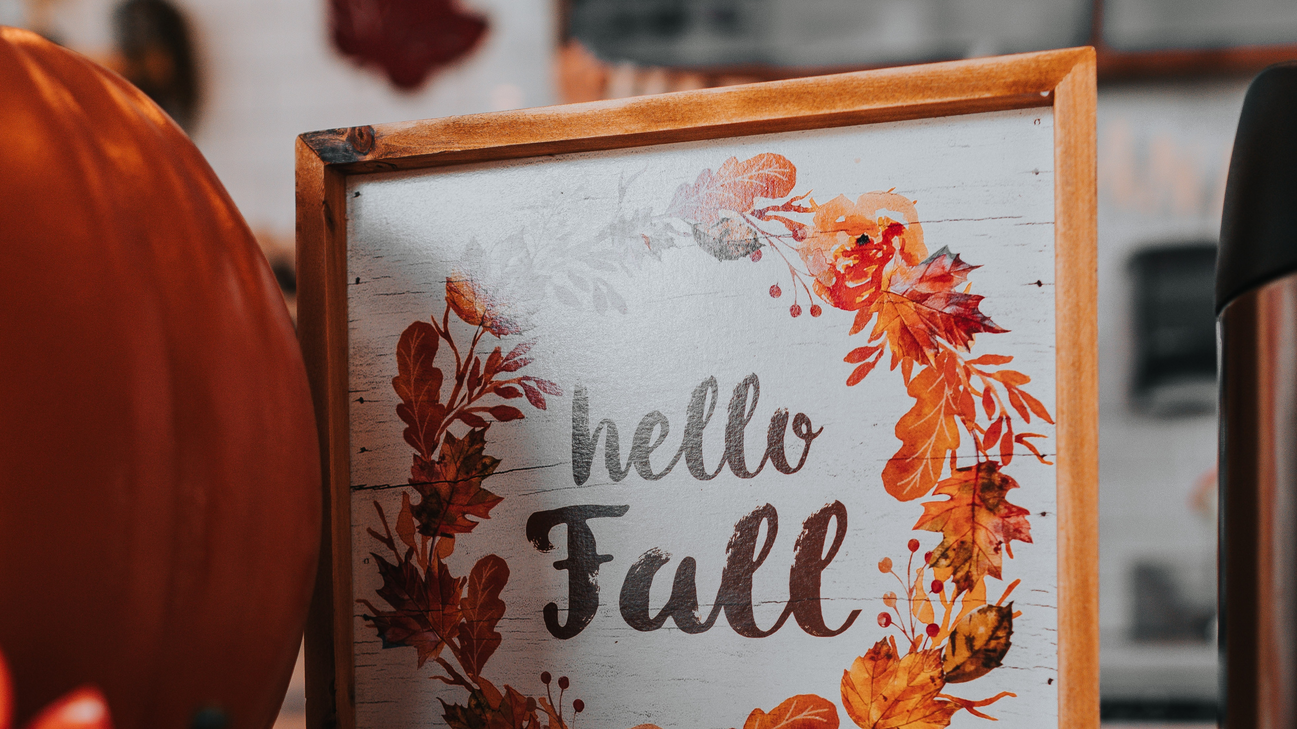 Обои тыква, Апельсин, текст, Место карты, комната в разрешении 2560x1440