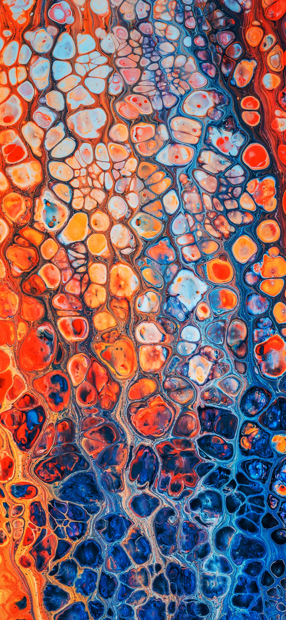 Обои визуальное искусство, арт, живопись, художественная краска, графический дизайн в разрешении 1125x2436