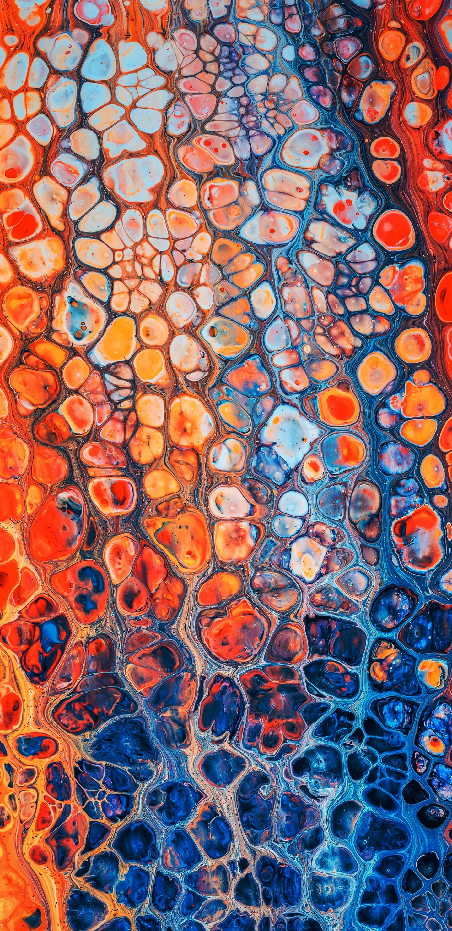 Обои визуальное искусство, арт, живопись, художественная краска, графический дизайн в разрешении 1440x2960