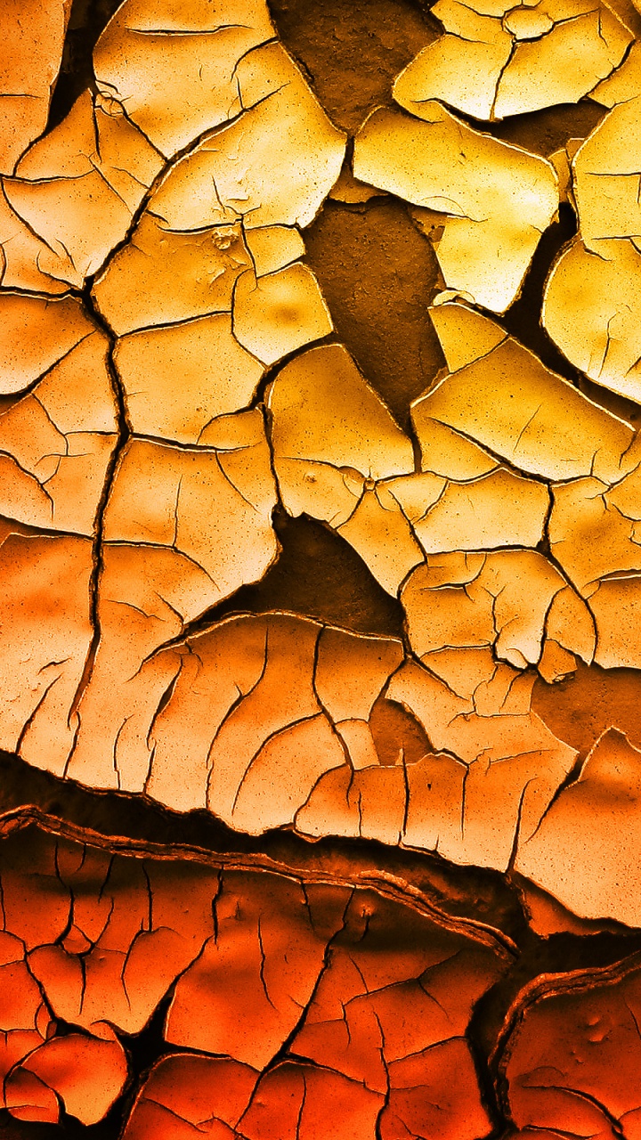 Обои Апельсин, узор, рок, листопадные, осень в разрешении 720x1280