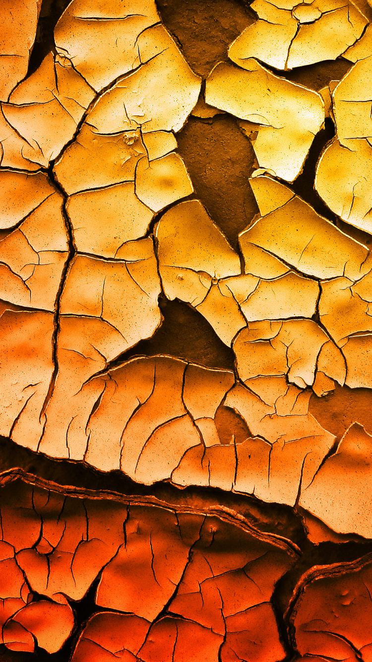 Обои Апельсин, узор, рок, листопадные, осень в разрешении 750x1334