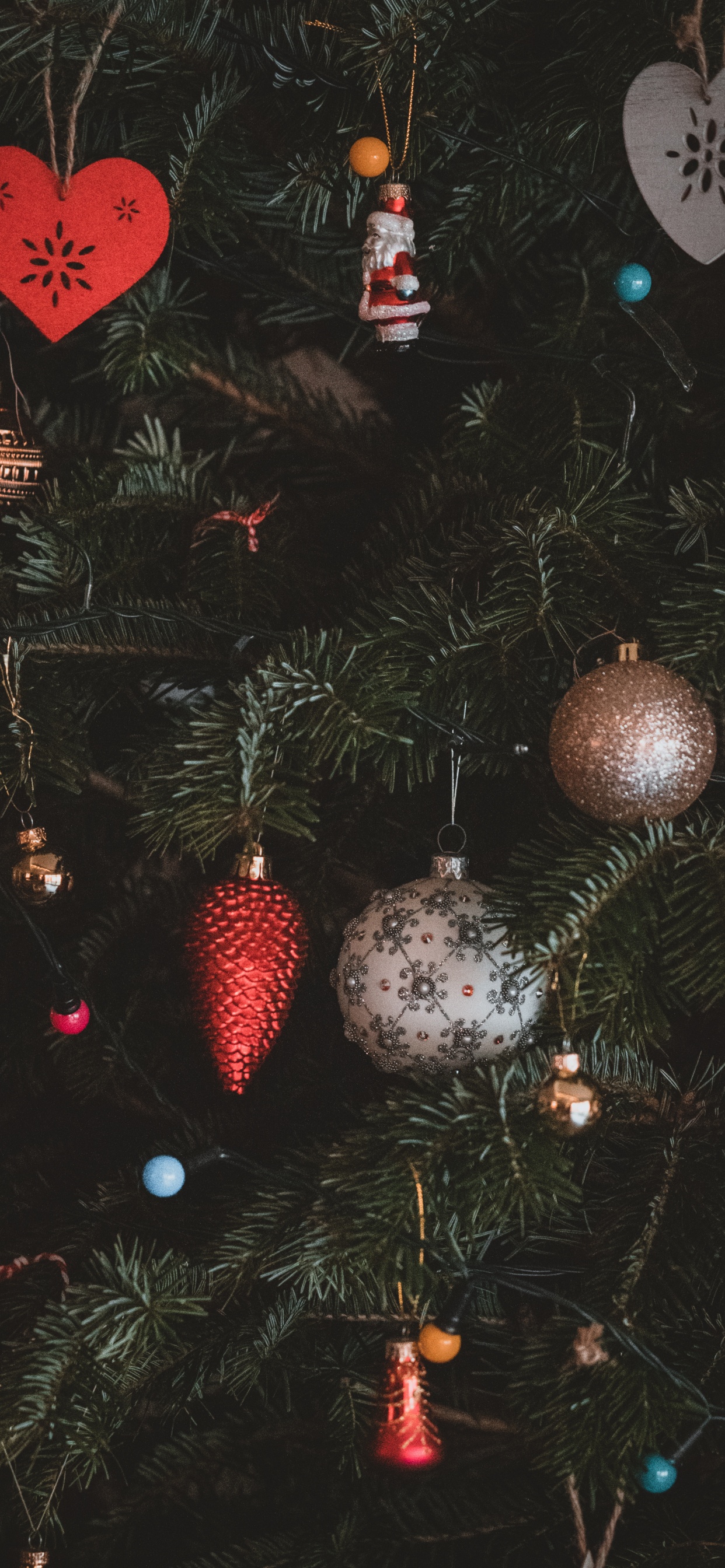 Обои Рождественский день, рождественский орнамент, дерево, Рождество, ветвь в разрешении 1242x2688