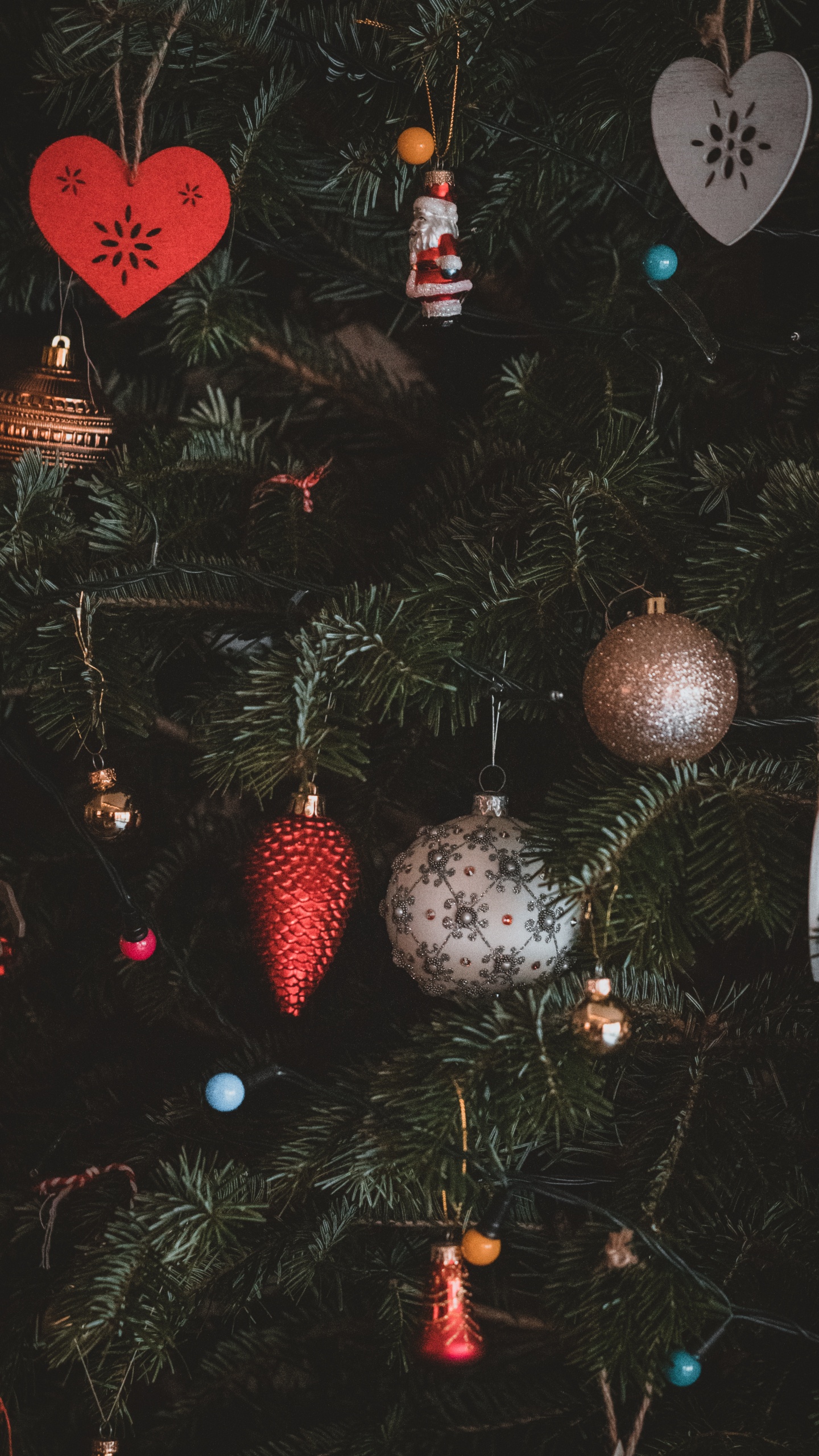 Обои Рождественский день, рождественский орнамент, дерево, Рождество, ветвь в разрешении 1440x2560