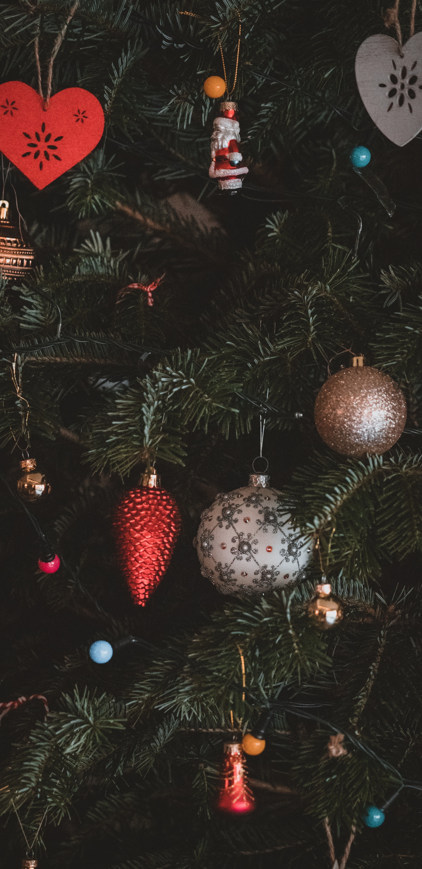 Обои Рождественский день, рождественский орнамент, дерево, Рождество, ветвь в разрешении 1440x2960