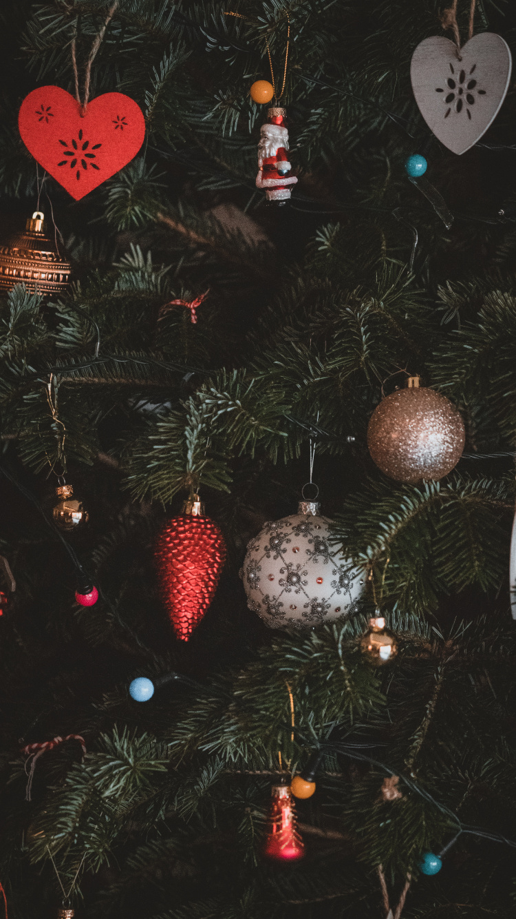 Обои Рождественский день, рождественский орнамент, дерево, Рождество, ветвь в разрешении 750x1334