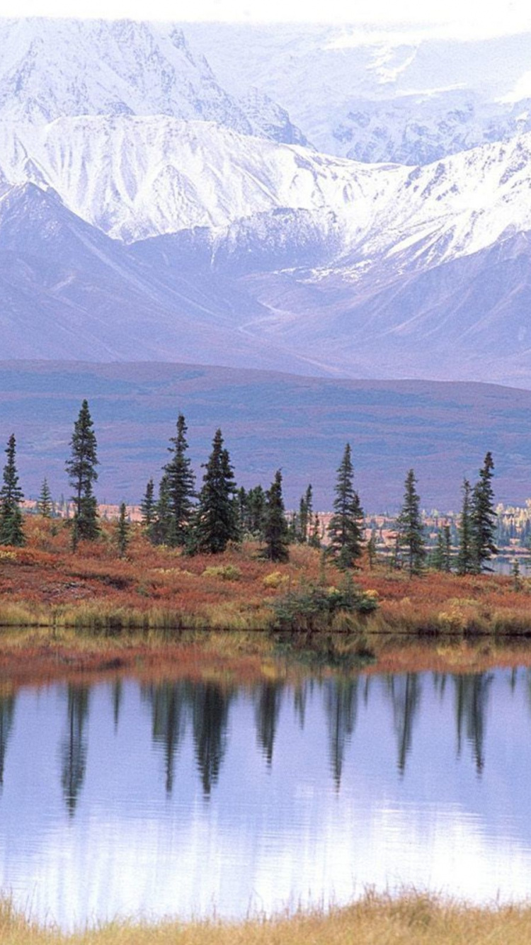 Обои тундра, гора, отражение, природа, дикая местность в разрешении 750x1334