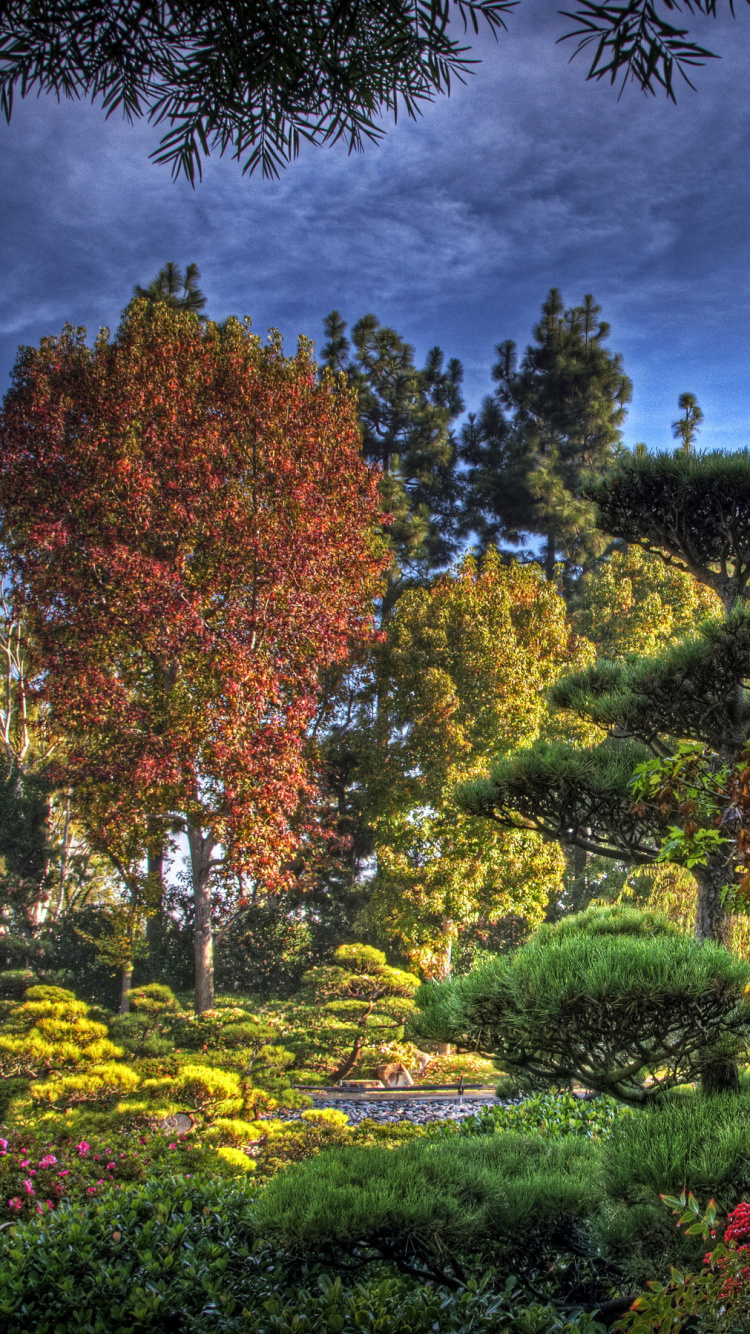 Обои сад, питомник, дерево, природа, растительность в разрешении 750x1334