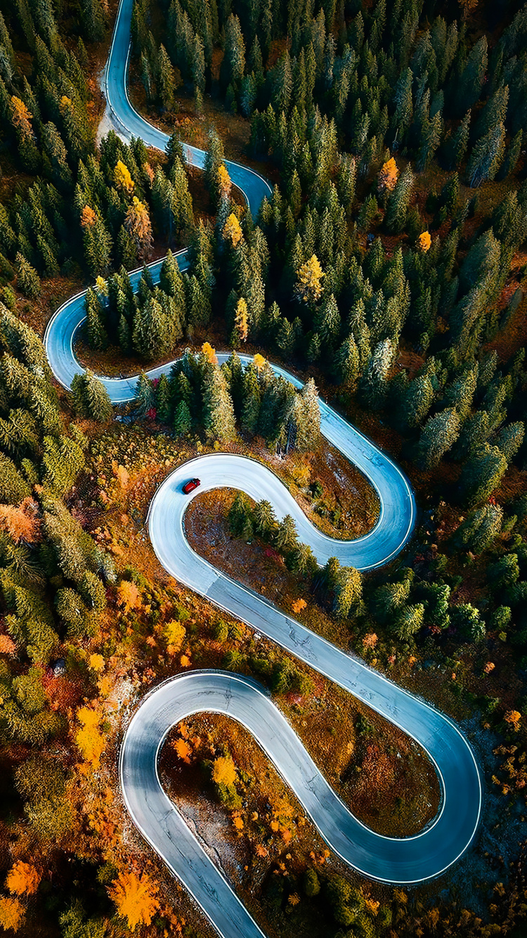 Обои природа, экорегион, природный ландшафт, растение, растительность в разрешении 750x1334