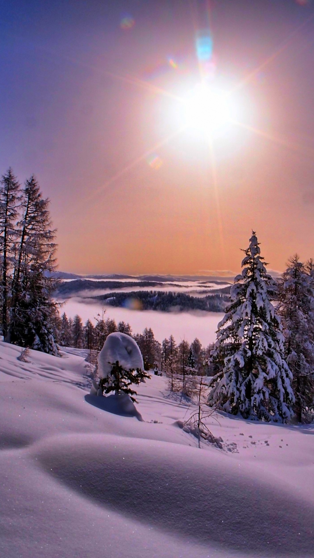 Обои снег, зима, природа, дерево, замораживание в разрешении 1080x1920