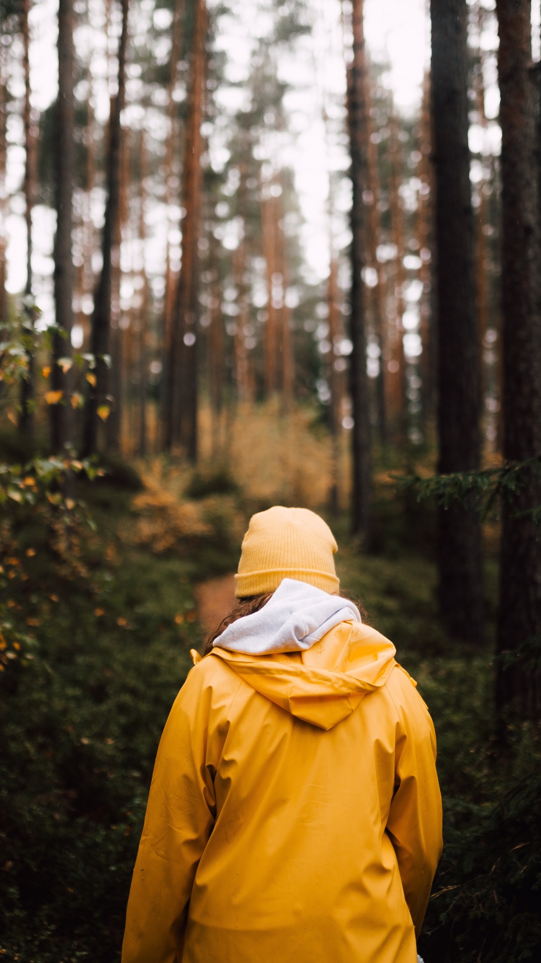 Обои туризм, дерево, желтый, одежда, дикая местность в разрешении 1080x1920
