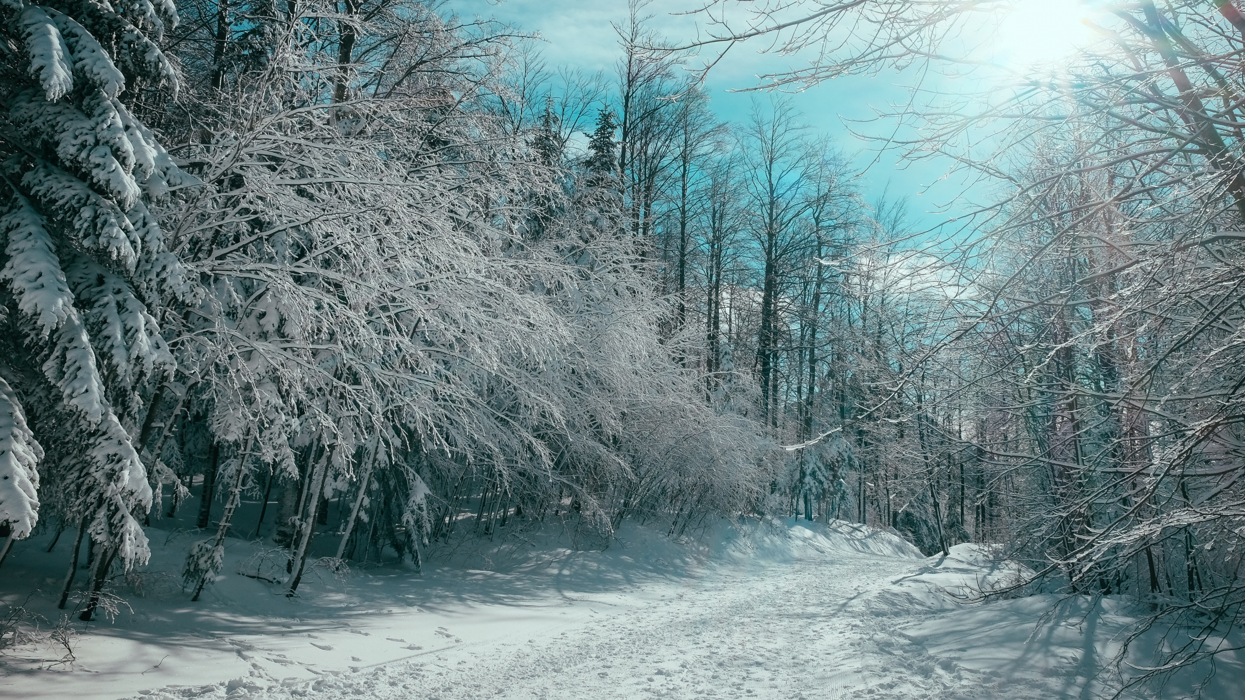 Обои цитаты организаций, котировка, организация, облако, снег в разрешении 2560x1440