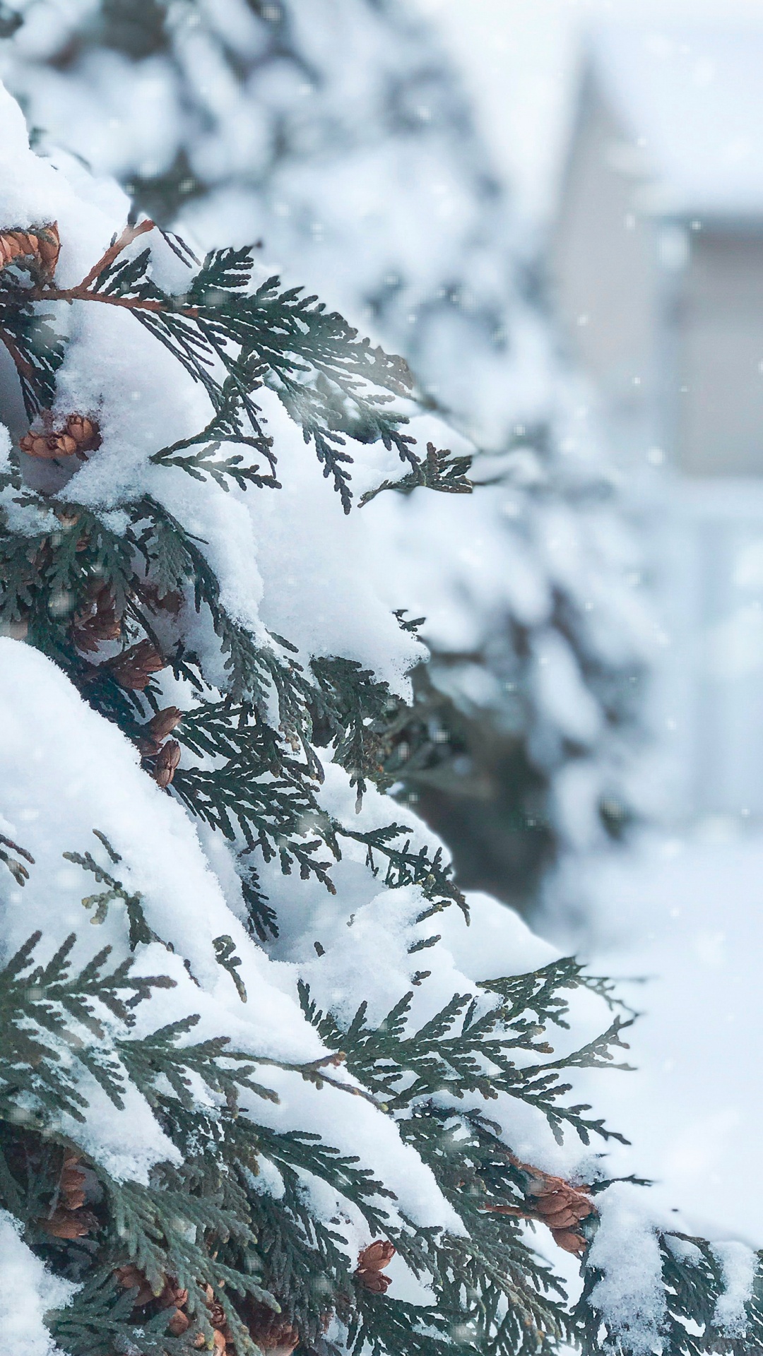 Обои Новый год, Рождество, зима, снег, ios для iPhone 6S+/7+/8+ бесплатно,  заставка 1080x1920 - скачать картинки и фото