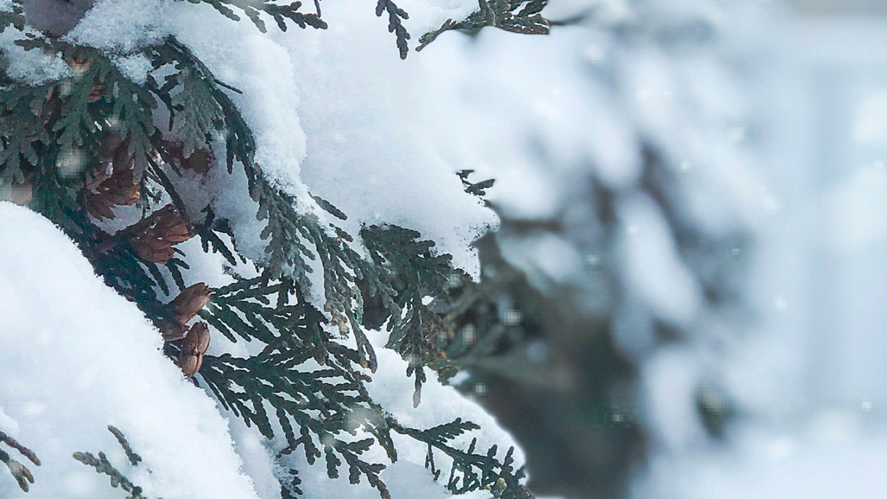 Обои Новый год, Рождество, зима, снег, ios в разрешении 1280x720