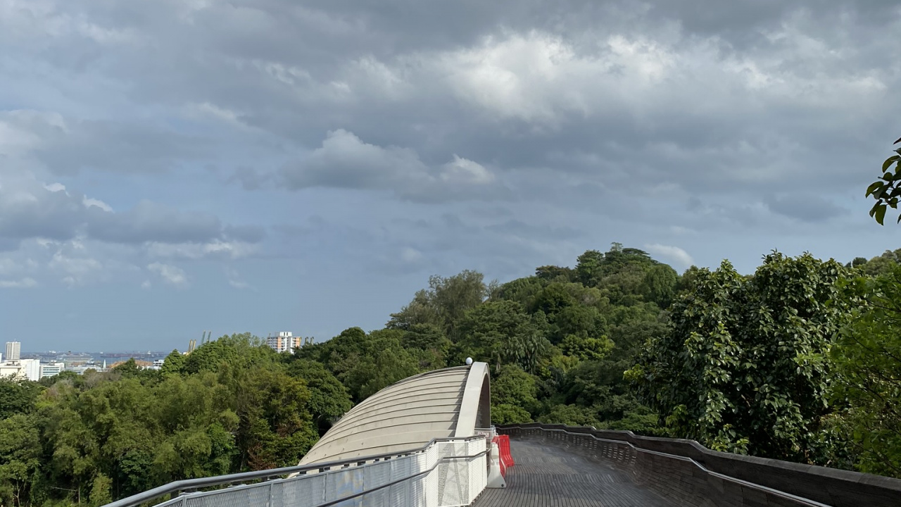 Обои облако, дорога, дорожное покрытие, дневное время, древесина в разрешении 1280x720