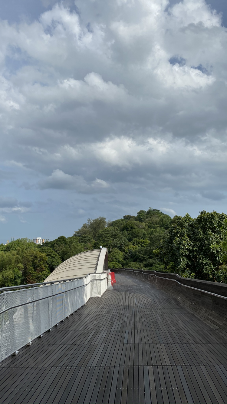 Обои облако, дорога, дорожное покрытие, дневное время, древесина в разрешении 750x1334