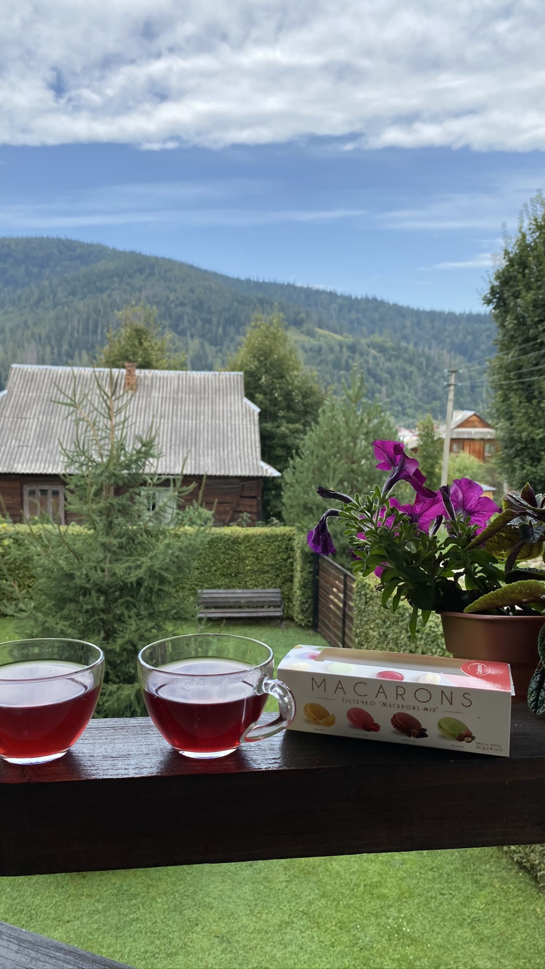 Обои Хаус, недвижимость, цветочный горшок, дерево, напиток в разрешении 1080x1920