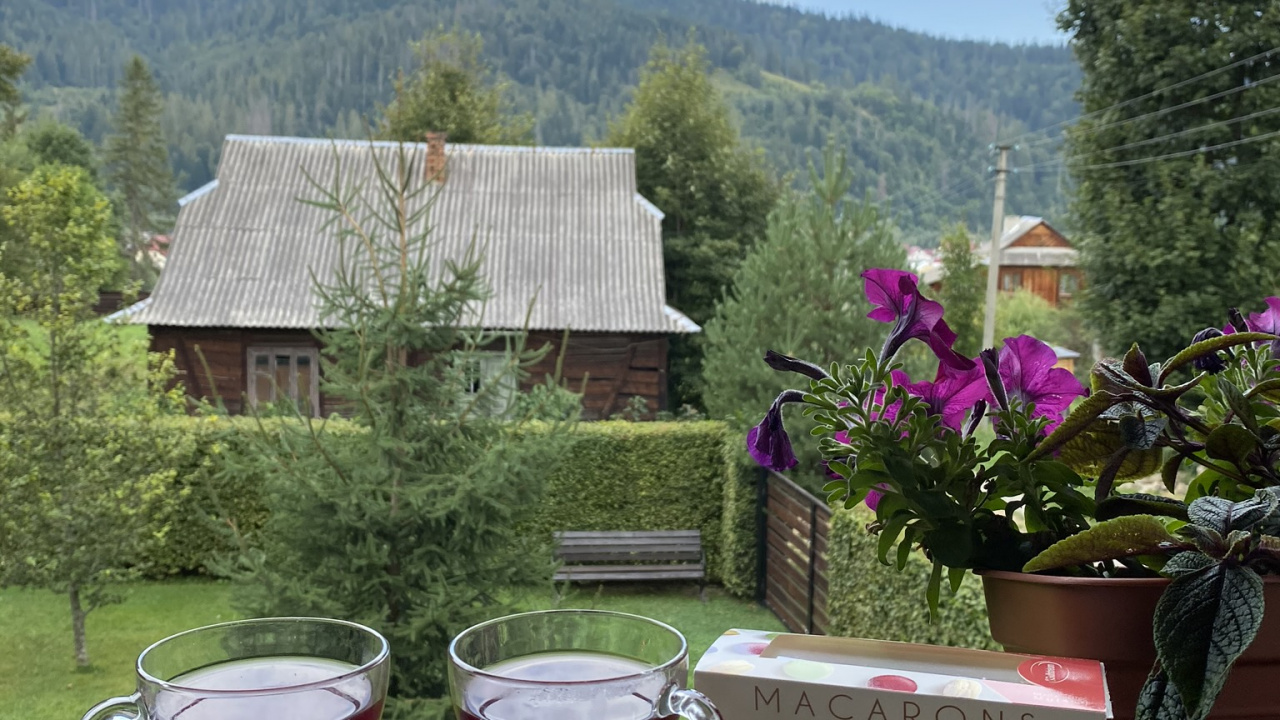 Обои Хаус, недвижимость, цветочный горшок, дерево, напиток в разрешении 1280x720