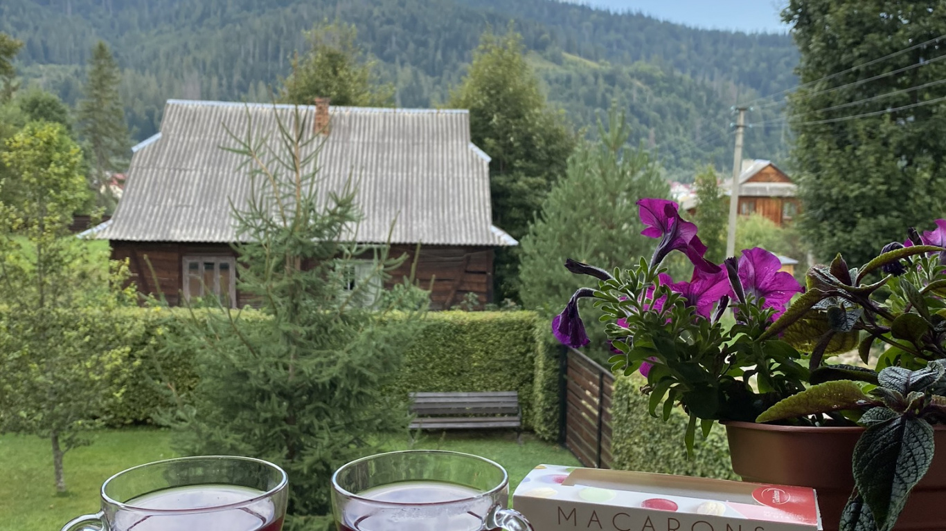 Обои Хаус, недвижимость, цветочный горшок, дерево, напиток в разрешении 1366x768