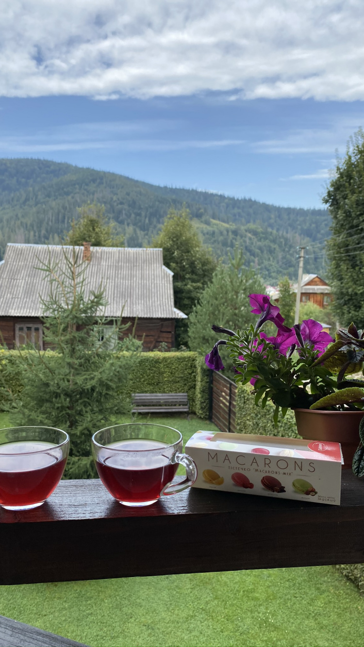 Обои Хаус, недвижимость, цветочный горшок, дерево, напиток в разрешении 750x1334