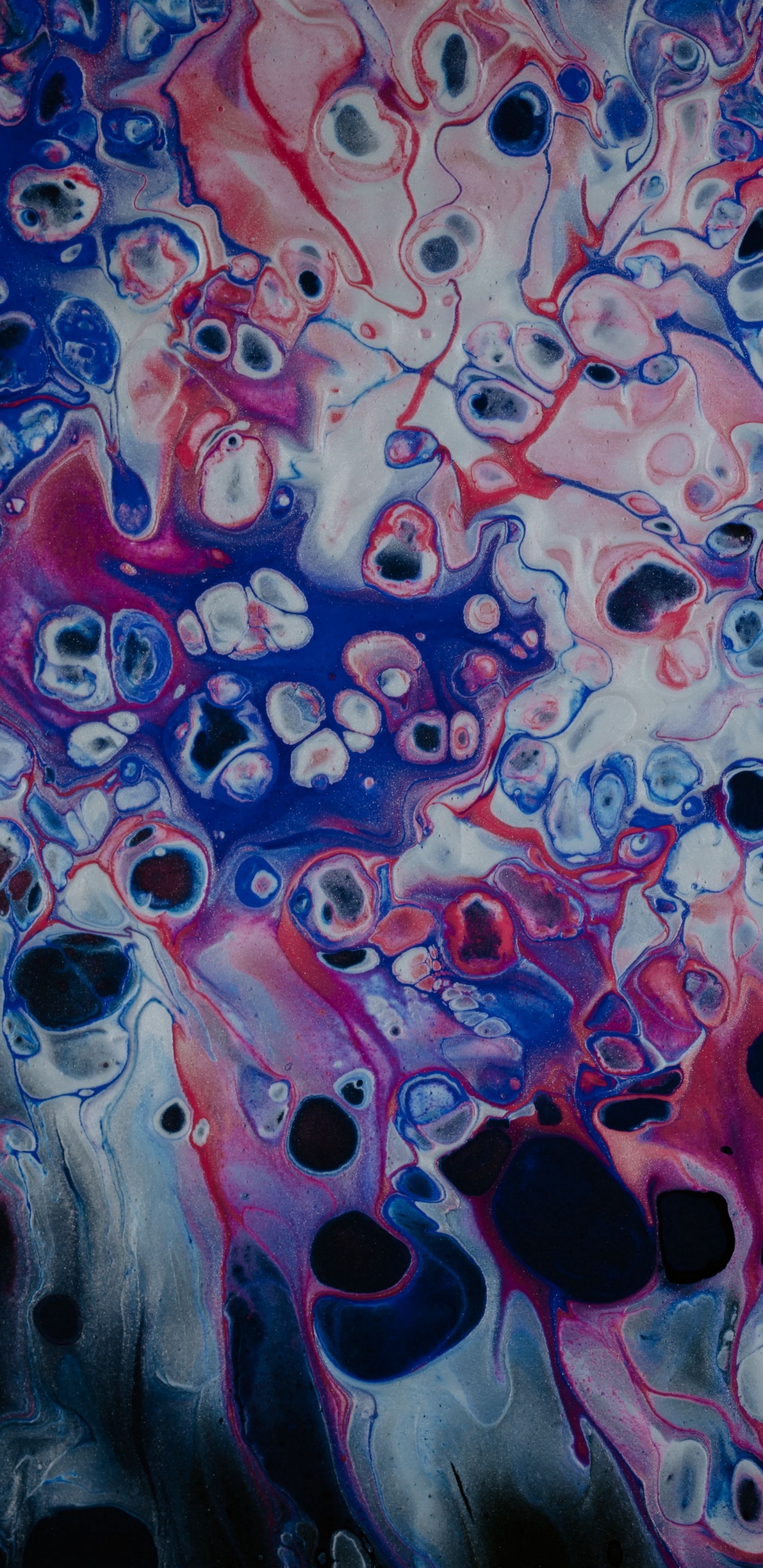 Обои абстрактное искусство, арт, живопись, бред, qzb в разрешении 1440x2960