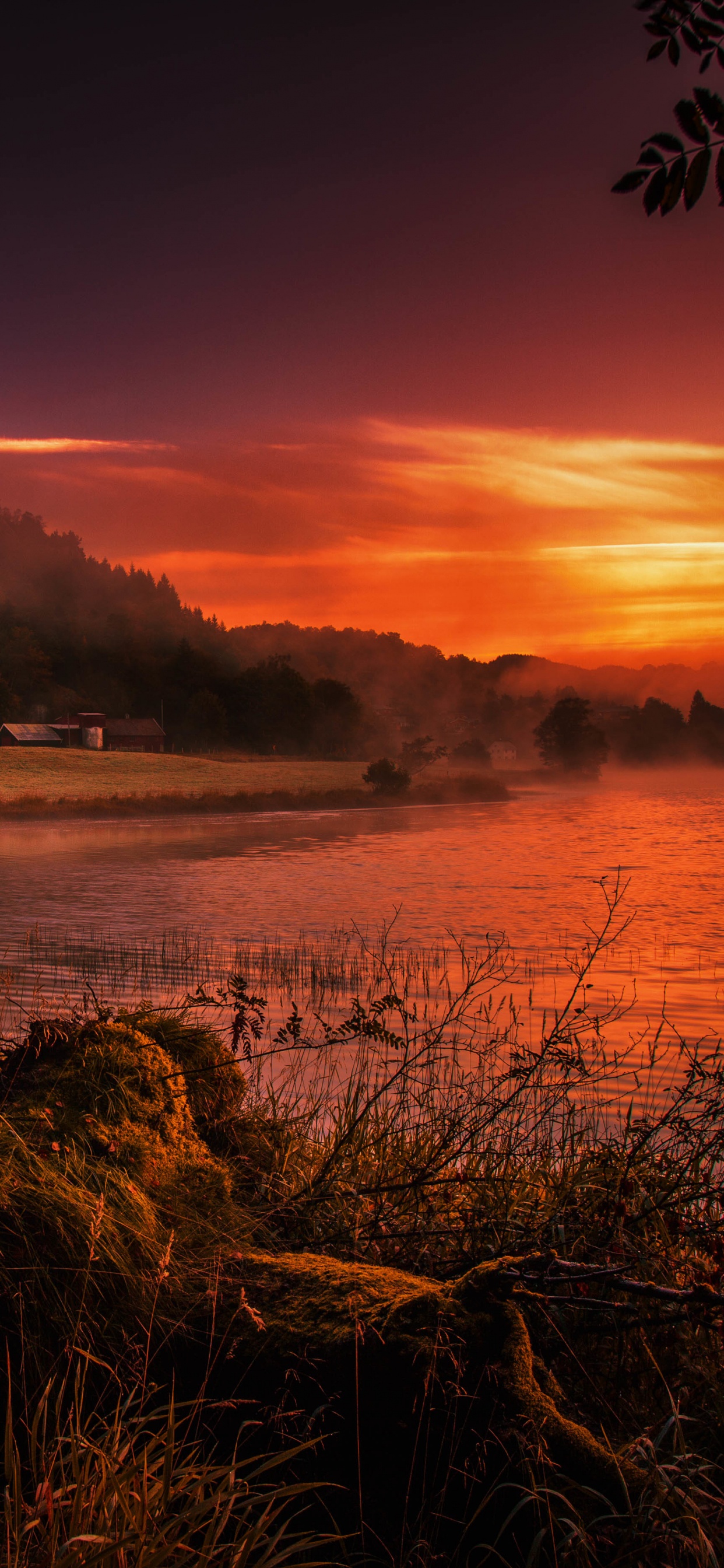 Обои природа, закат, восход солнца, утро, вечер в разрешении 1242x2688