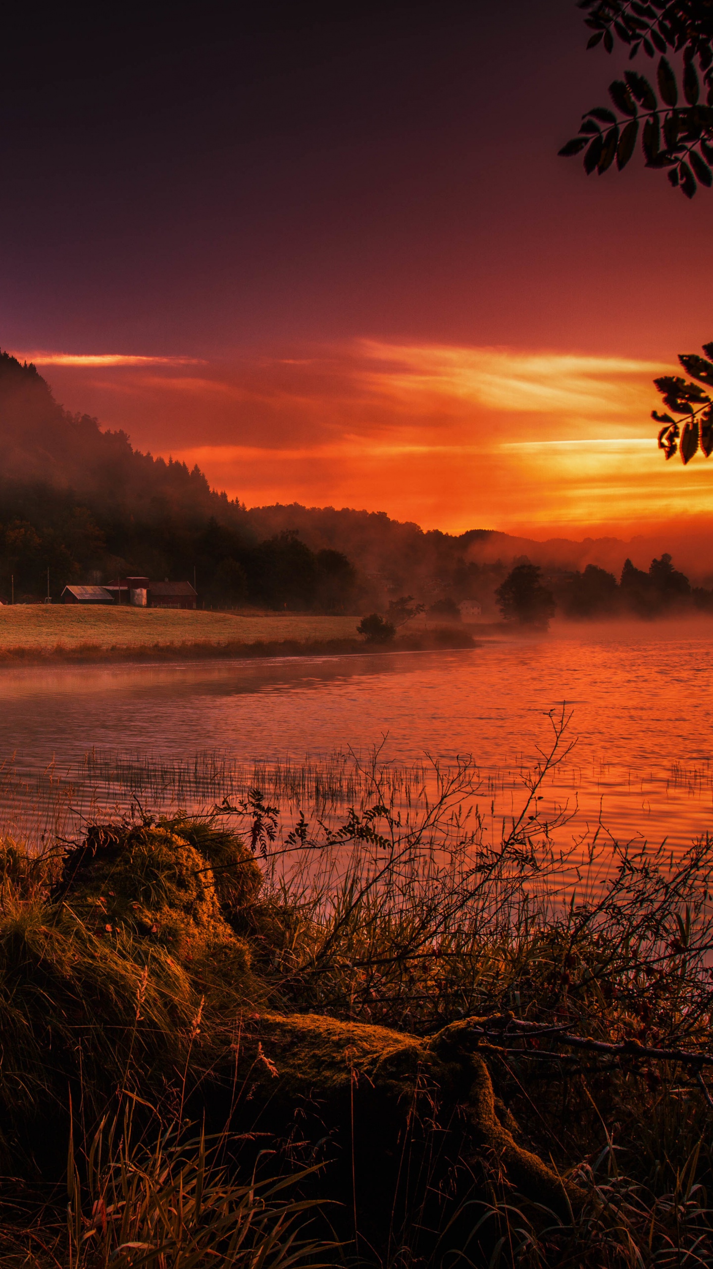 Обои природа, закат, восход солнца, утро, вечер в разрешении 1440x2560