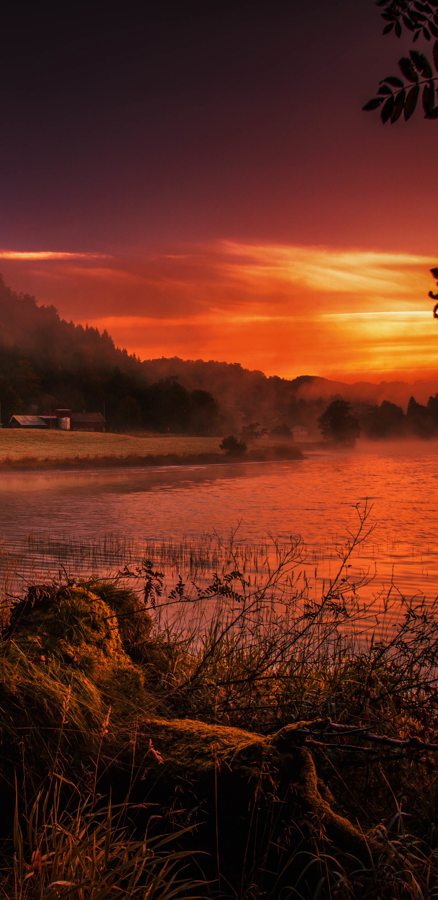 Обои природа, закат, восход солнца, утро, вечер в разрешении 1440x2960