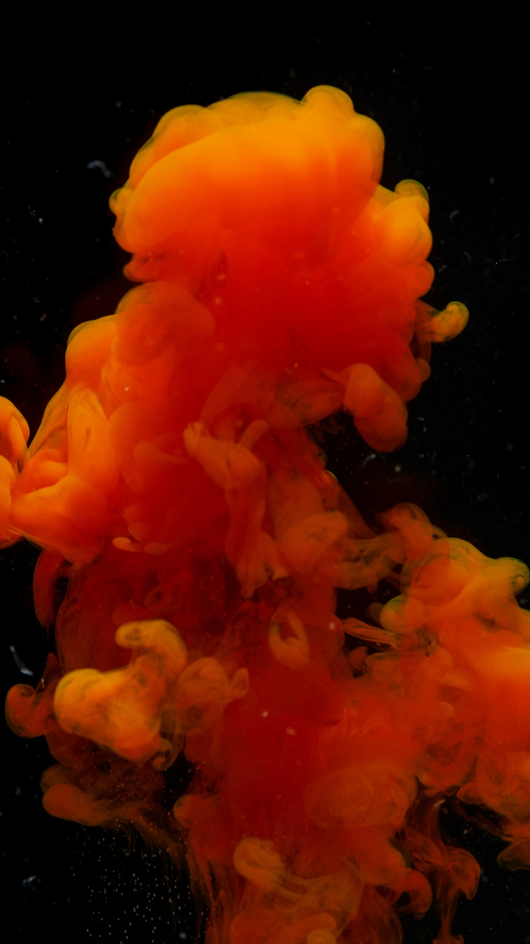 Обои цвет, черный, Апельсин, морские беспозвоночные, Kajax в разрешении 750x1334