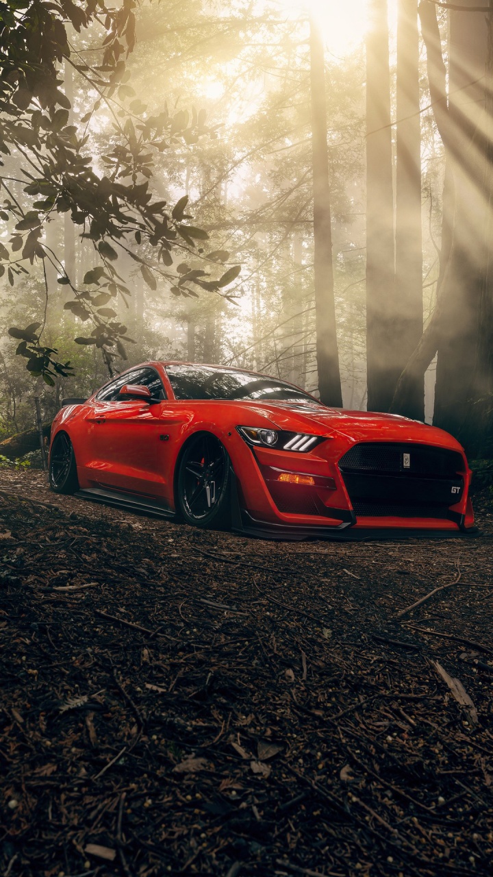 Обои Ford Mustang Mach E, легковые автомобили, ford, Шелби Мустанг, ford gt в разрешении 720x1280