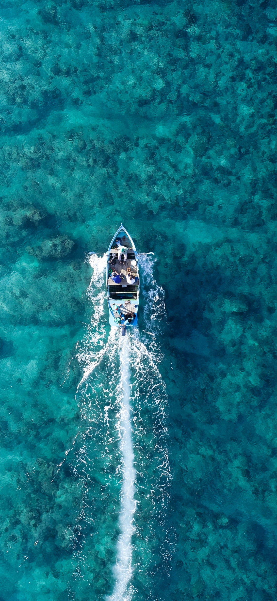 Обои море, океан, пляж, вода, жидкий в разрешении 1125x2436