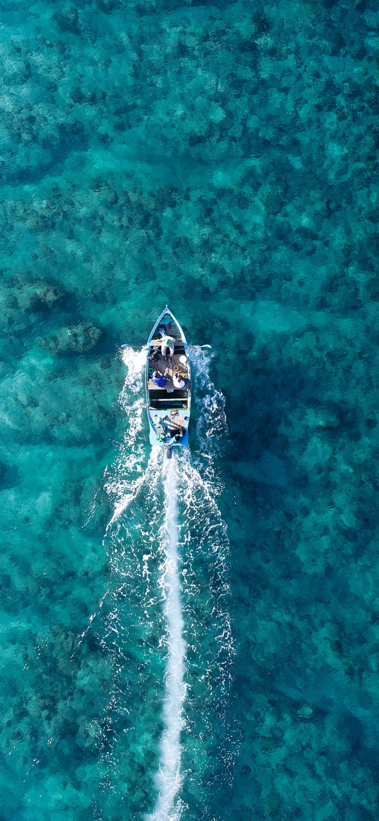 Обои море, океан, пляж, вода, жидкий в разрешении 1242x2688