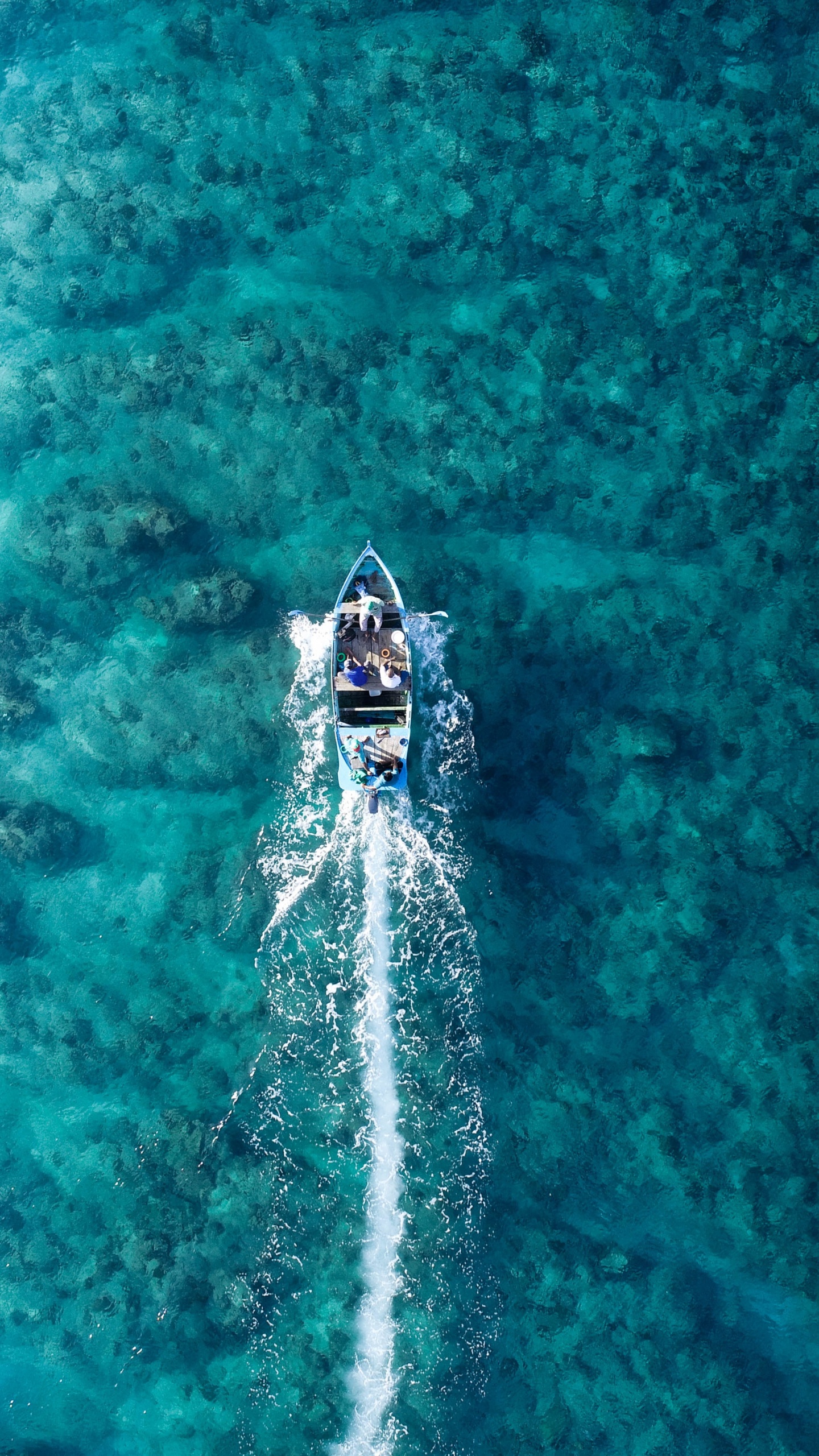 Обои море, океан, пляж, вода, жидкий в разрешении 1440x2560