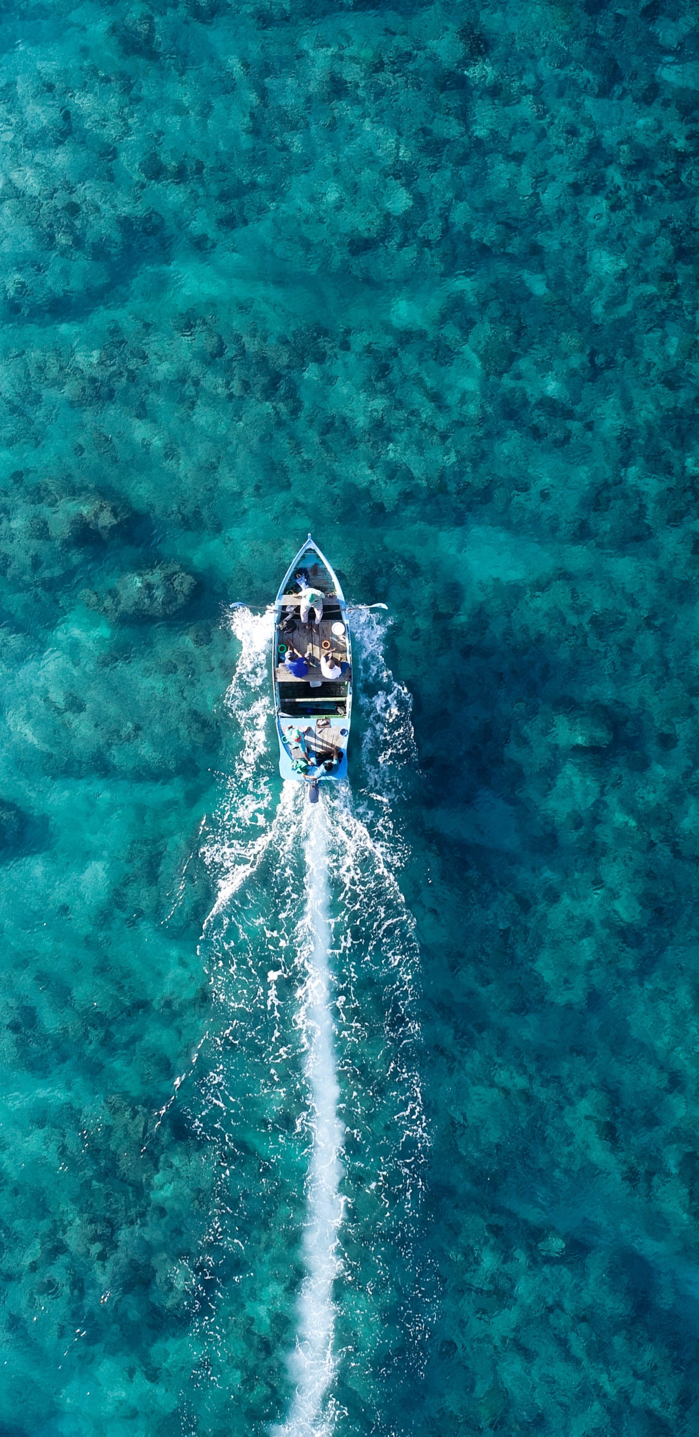 Обои море, океан, пляж, вода, жидкий в разрешении 1440x2960