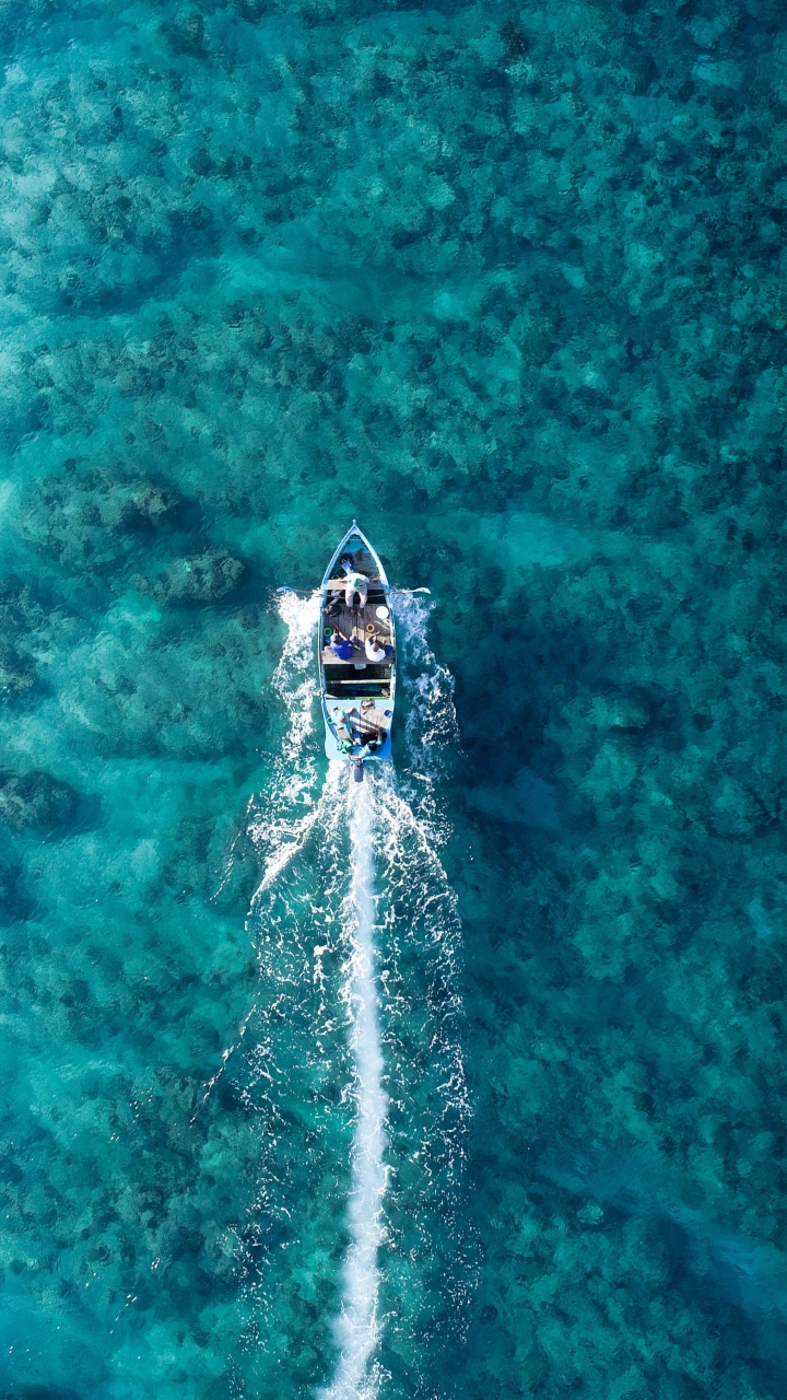 Обои море, океан, пляж, вода, жидкий в разрешении 720x1280