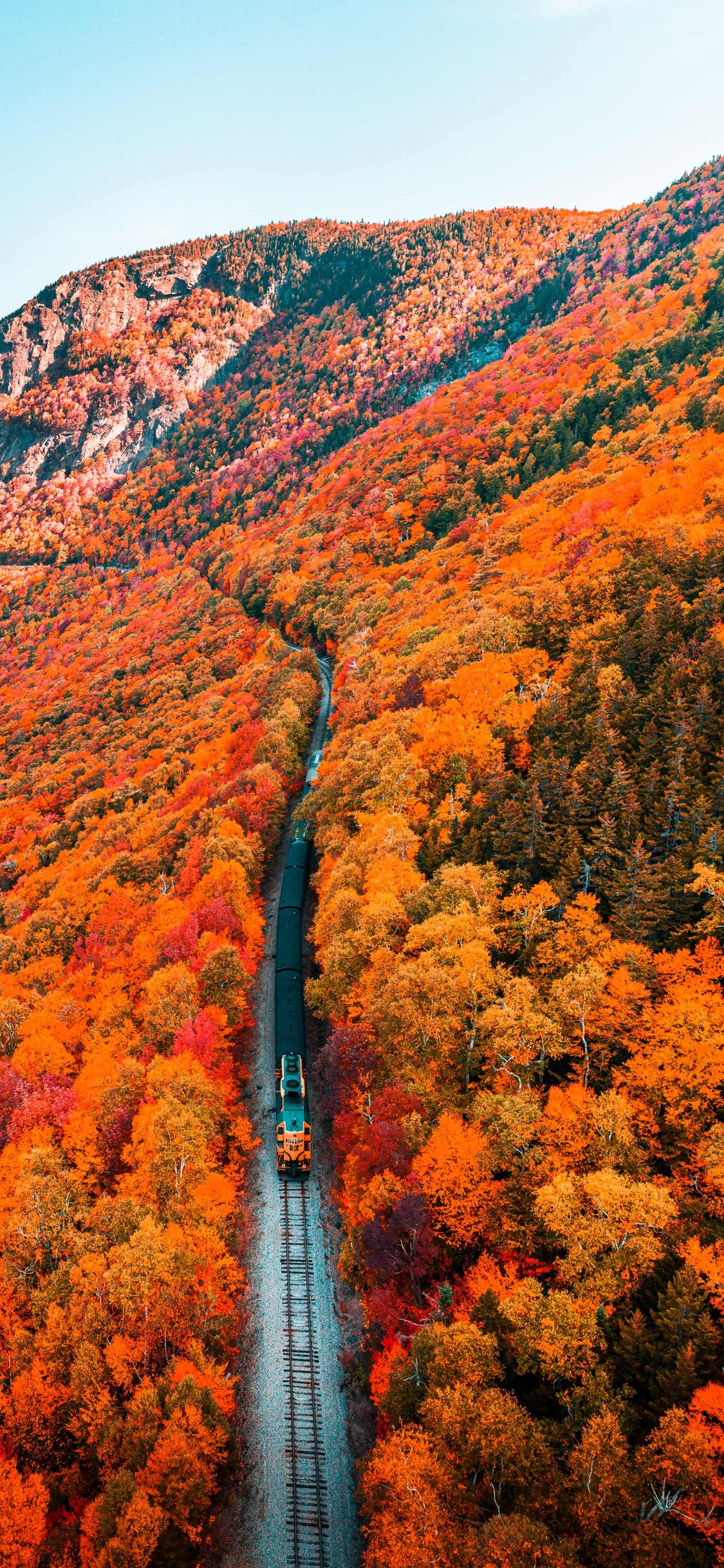 Обои природа, осень, растение, гора, природный ландшафт в разрешении 1125x2436