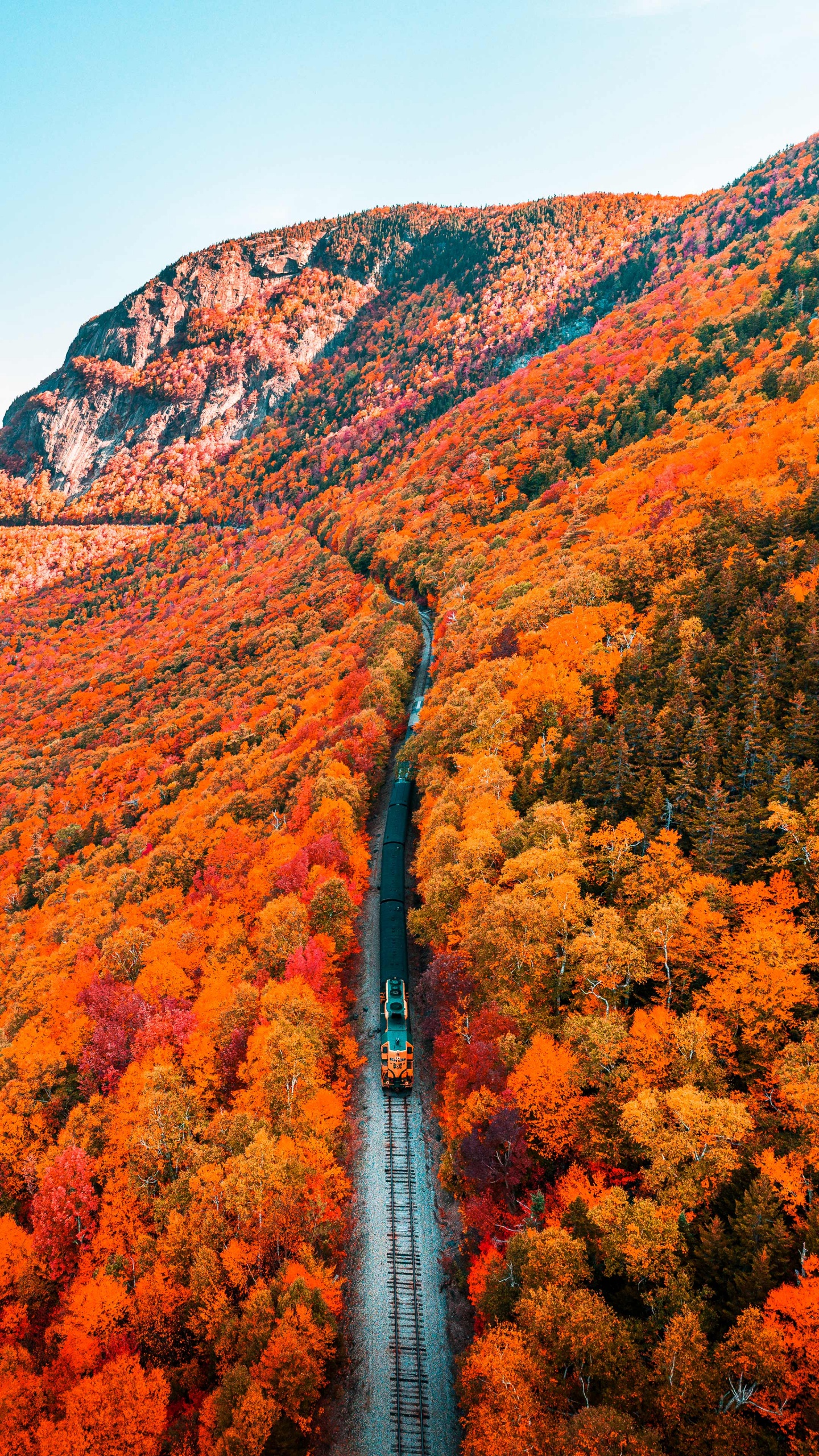 Обои природа, осень, растение, гора, природный ландшафт в разрешении 1440x2560