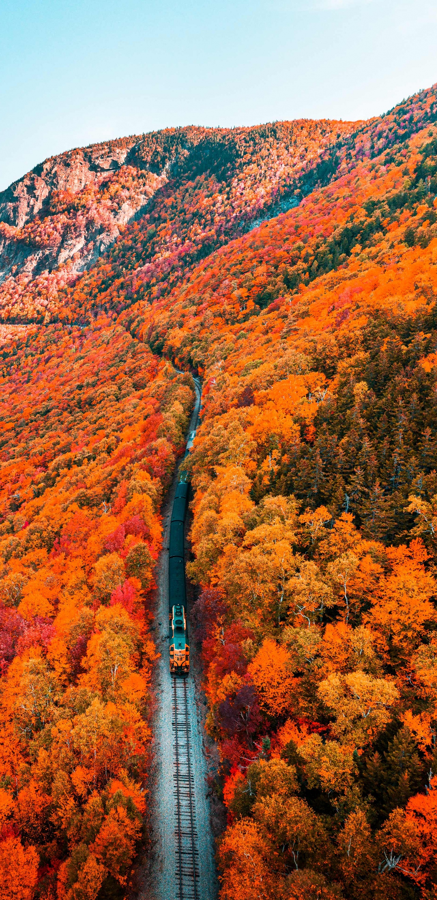 Обои природа, осень, растение, гора, природный ландшафт в разрешении 1440x2960