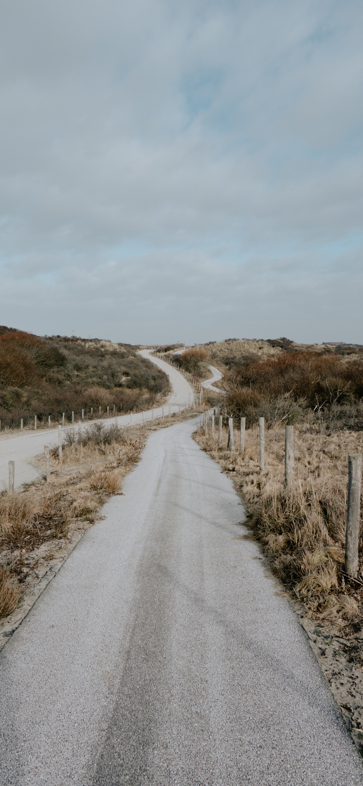 Обои дорога, нагорье, инфраструктура, дерево, проезд в разрешении 1242x2688