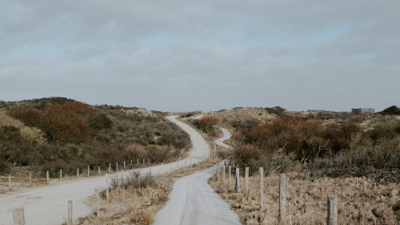 Обои дорога, нагорье, инфраструктура, дерево, проезд в разрешении 1366x768