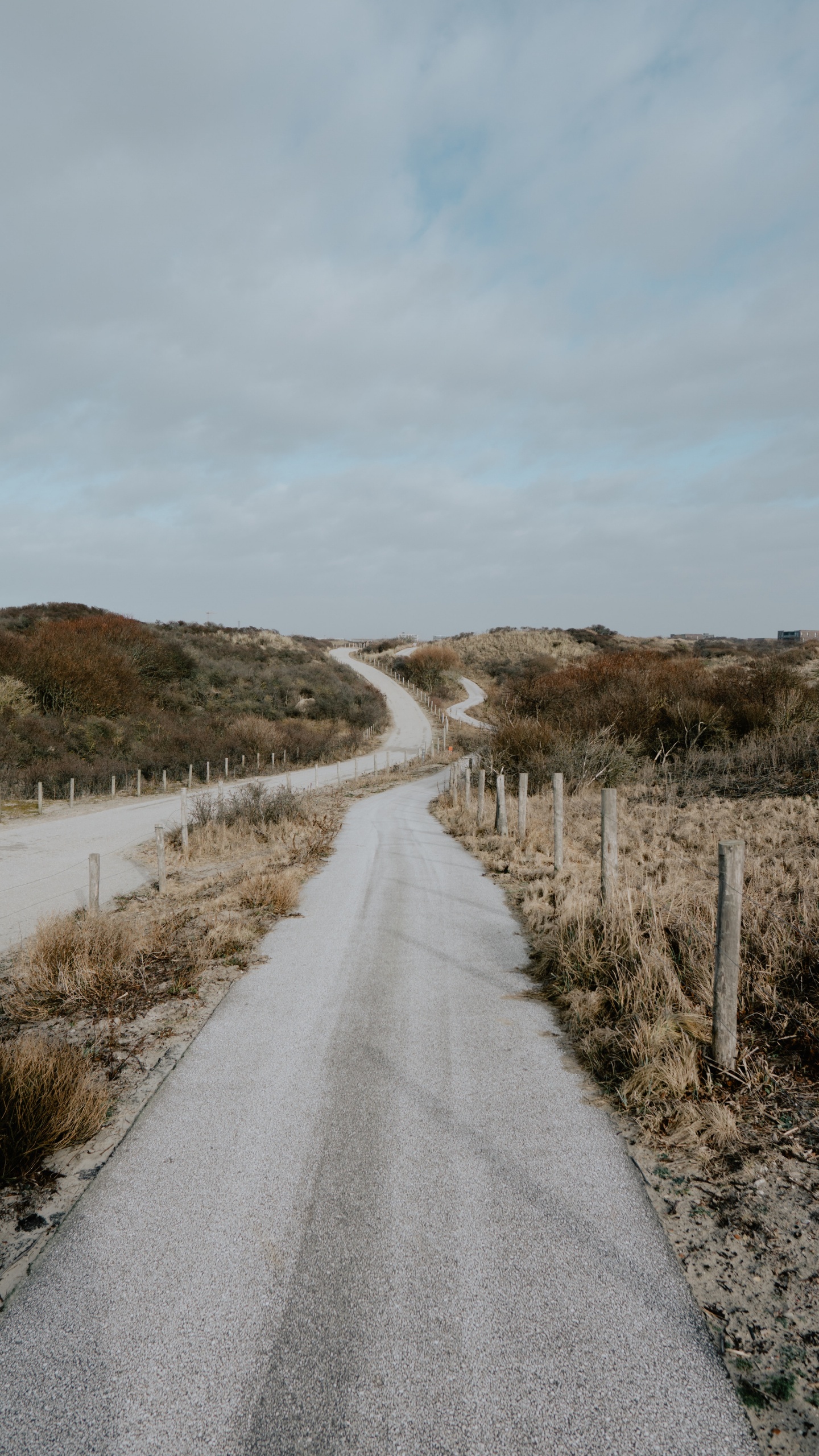 Обои дорога, нагорье, инфраструктура, дерево, проезд в разрешении 1440x2560