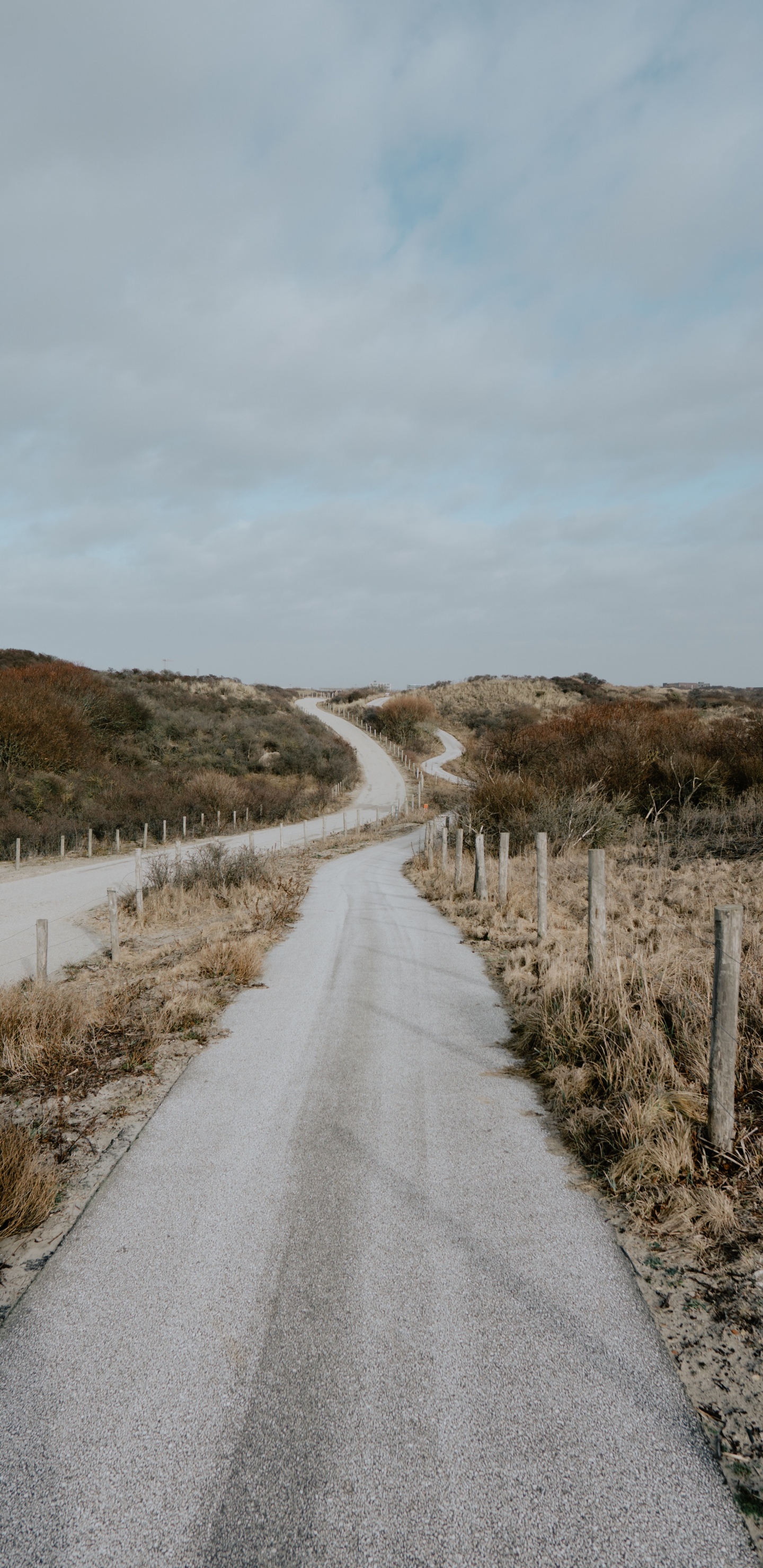 Обои дорога, нагорье, инфраструктура, дерево, проезд в разрешении 1440x2960