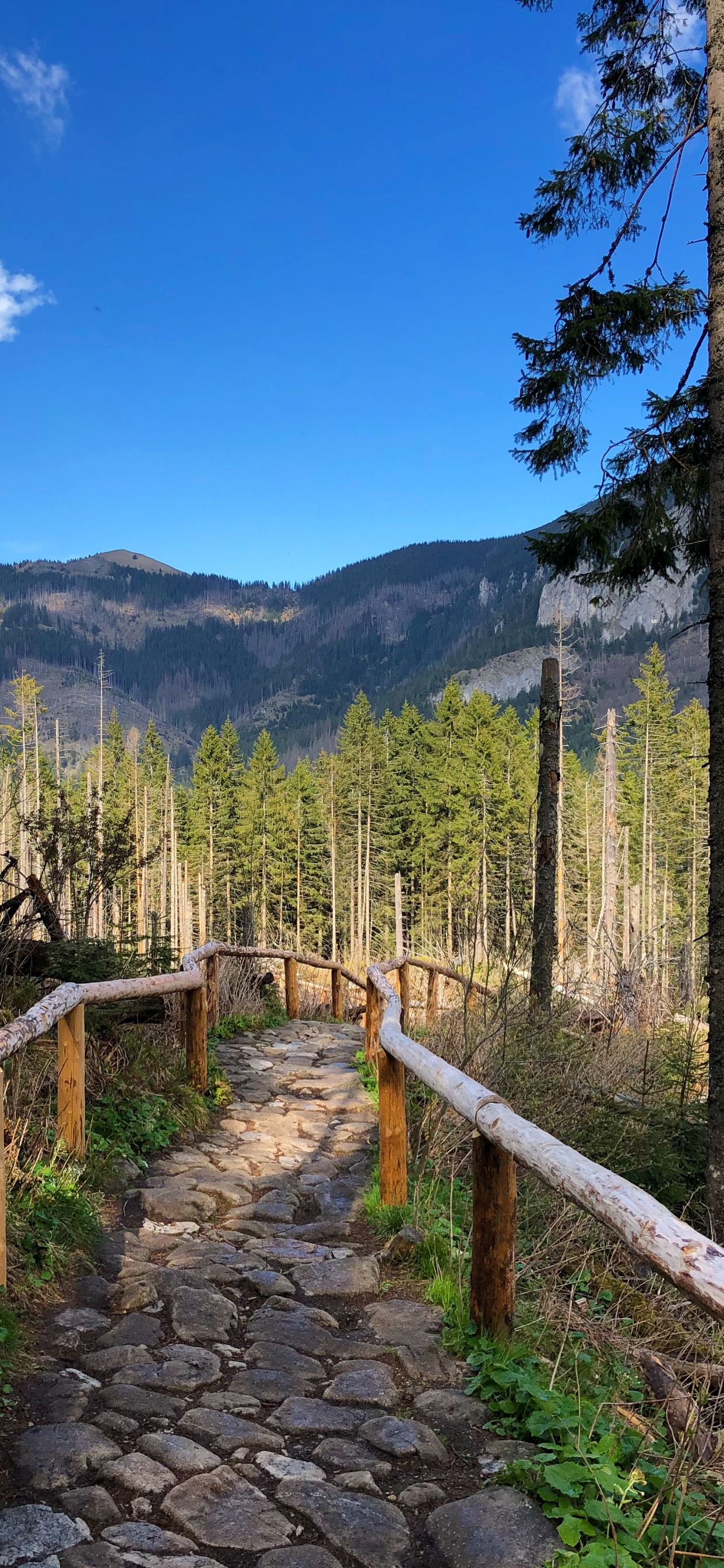 Обои дикая местность, пейзажи гор, горный хребет, недвижимость, наука в разрешении 1242x2688