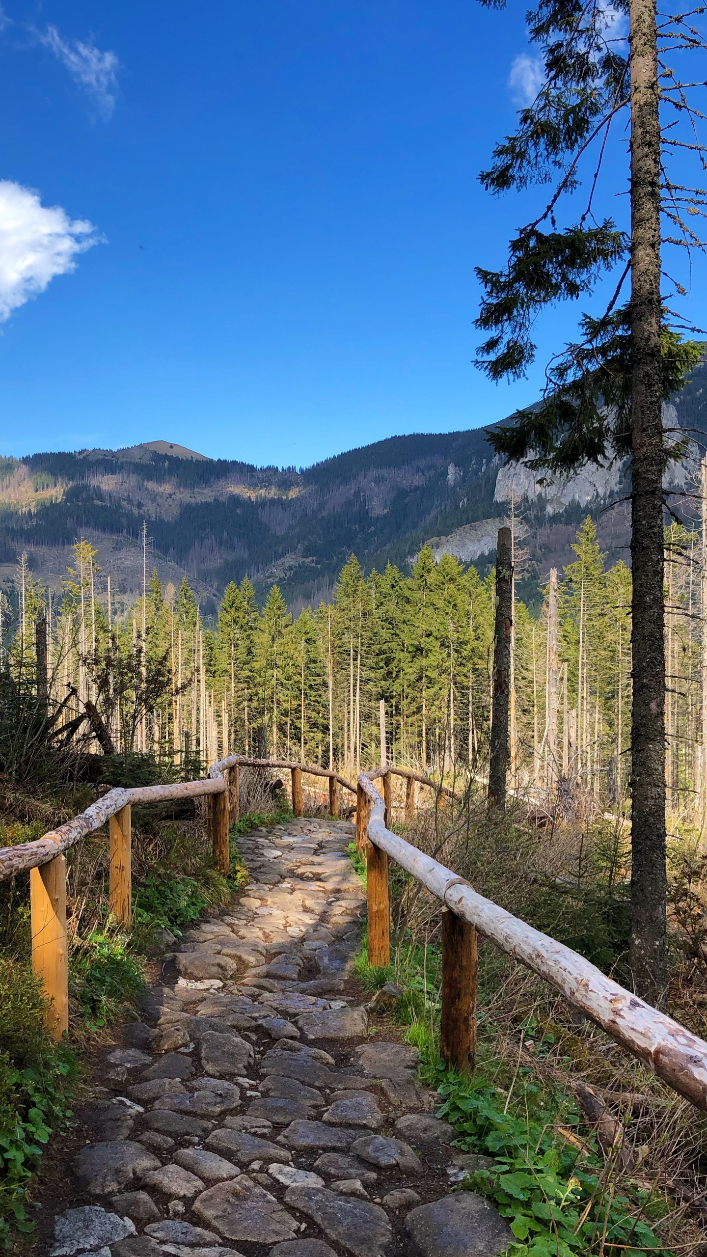 Обои дикая местность, пейзажи гор, горный хребет, недвижимость, наука в разрешении 1440x2560