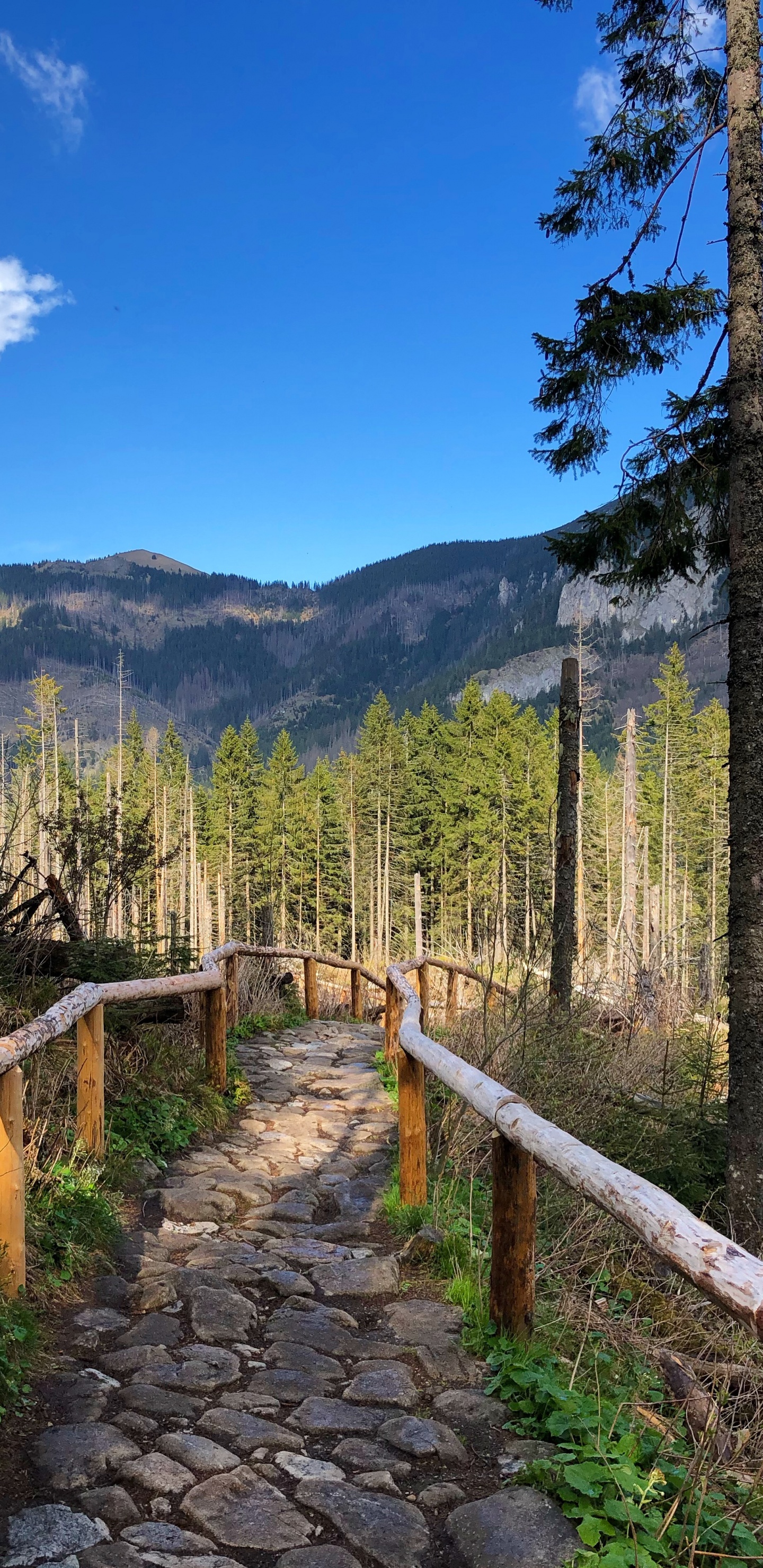 Обои дикая местность, пейзажи гор, горный хребет, недвижимость, наука в разрешении 1440x2960