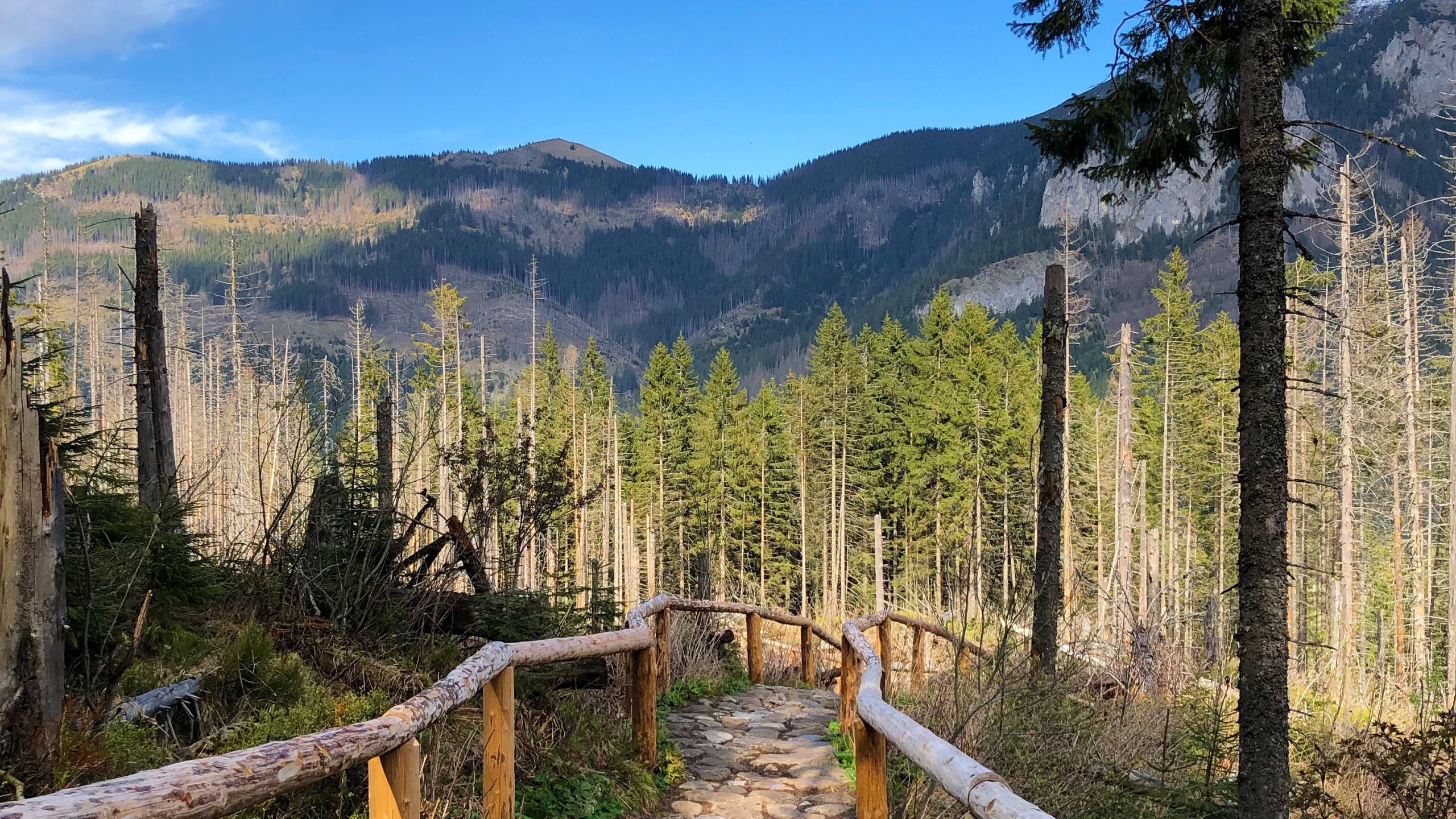 Обои дикая местность, пейзажи гор, горный хребет, недвижимость, наука в разрешении 2560x1440
