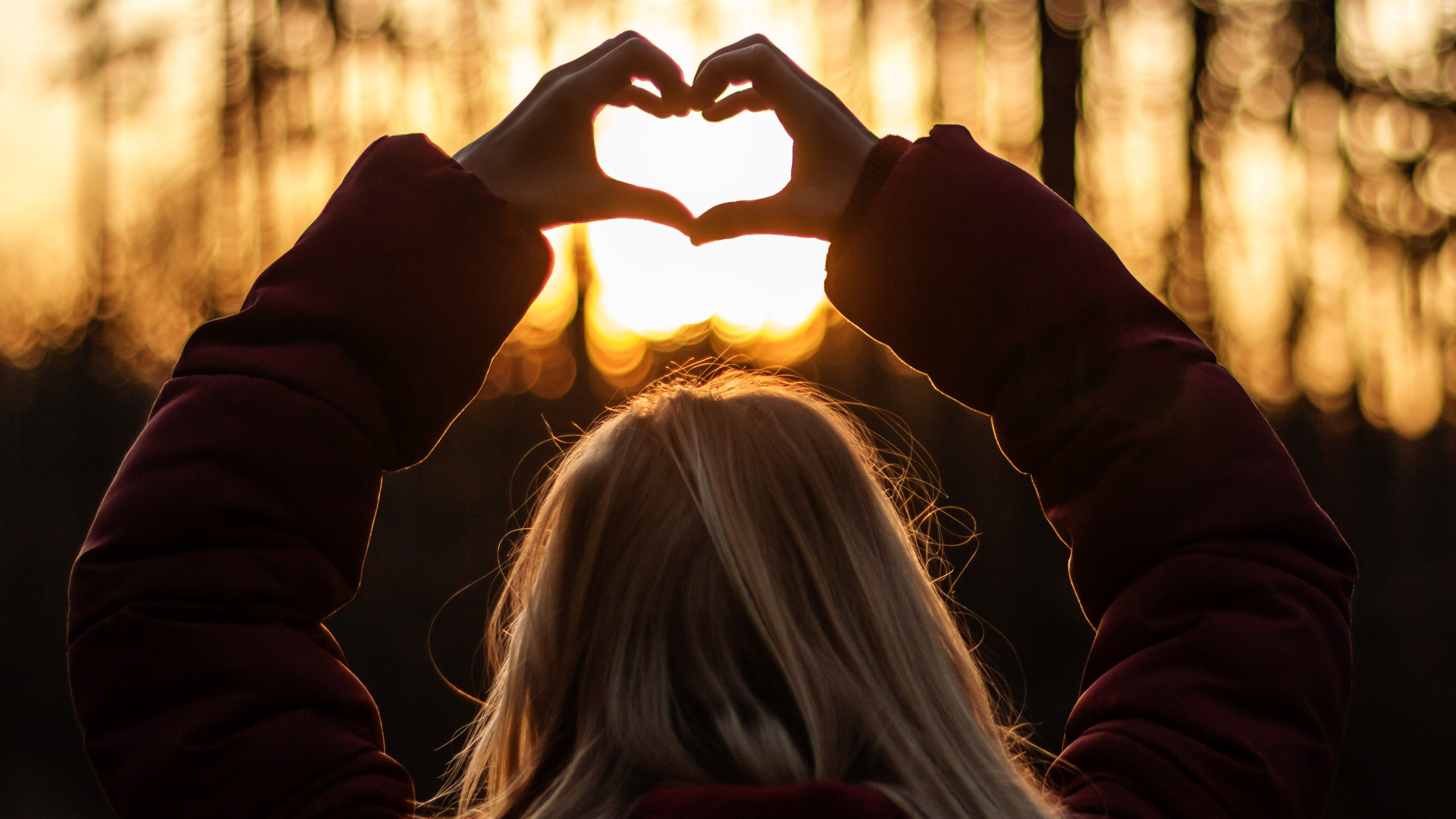 Обои свет, солнечный свет, любовь, дерево, лист в разрешении 2560x1440