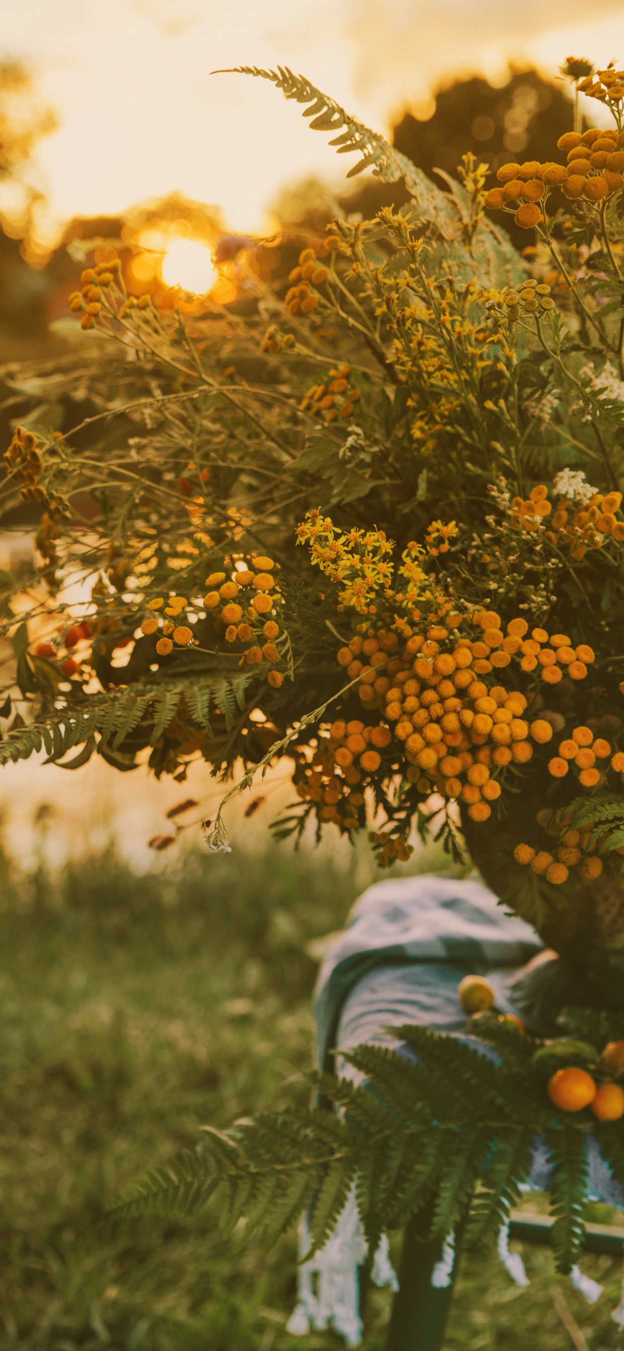 Обои цветок, apple, Люди в природе, лист, осень в разрешении 1242x2688