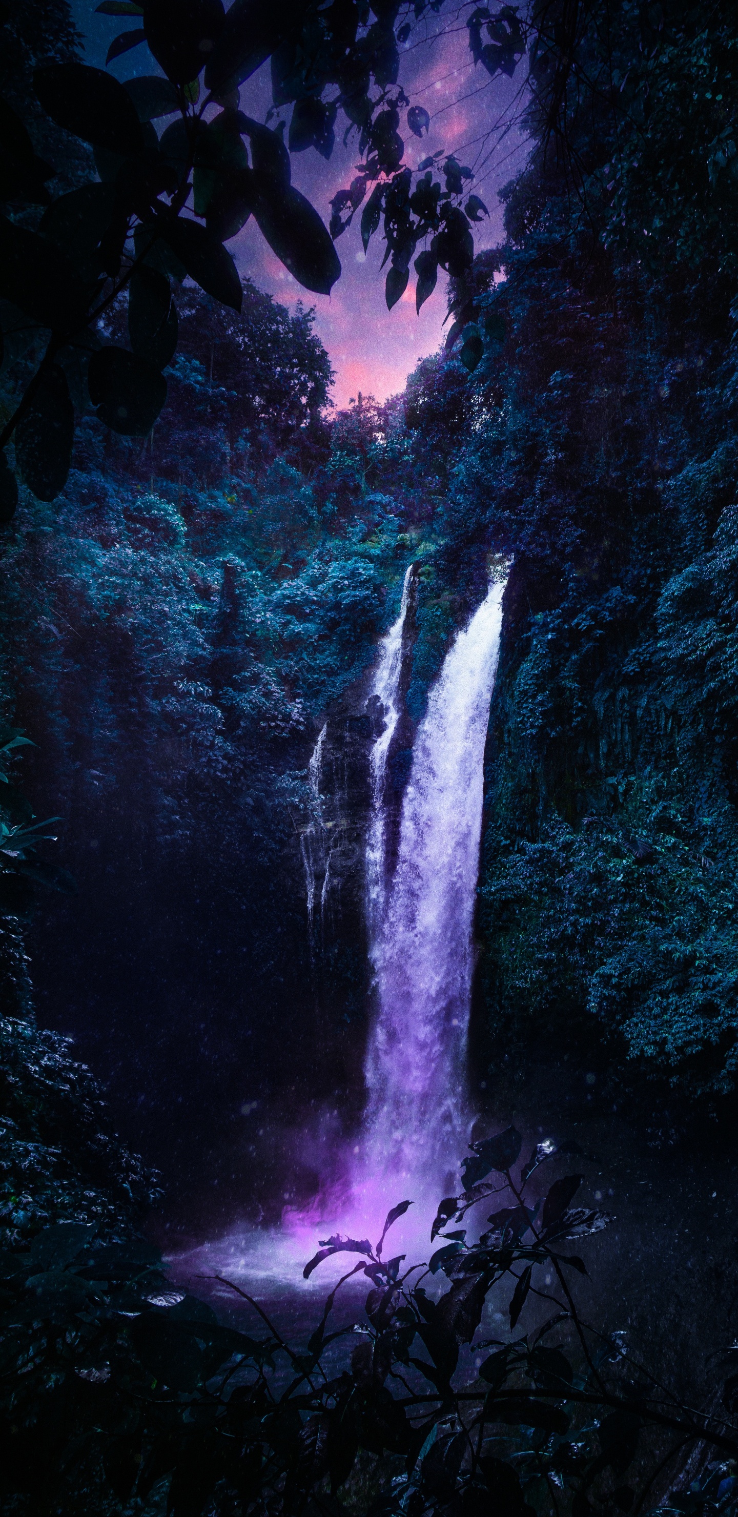 Обои водопад, вода, природный ландшафт, ветвь, растительность в разрешении 1440x2960